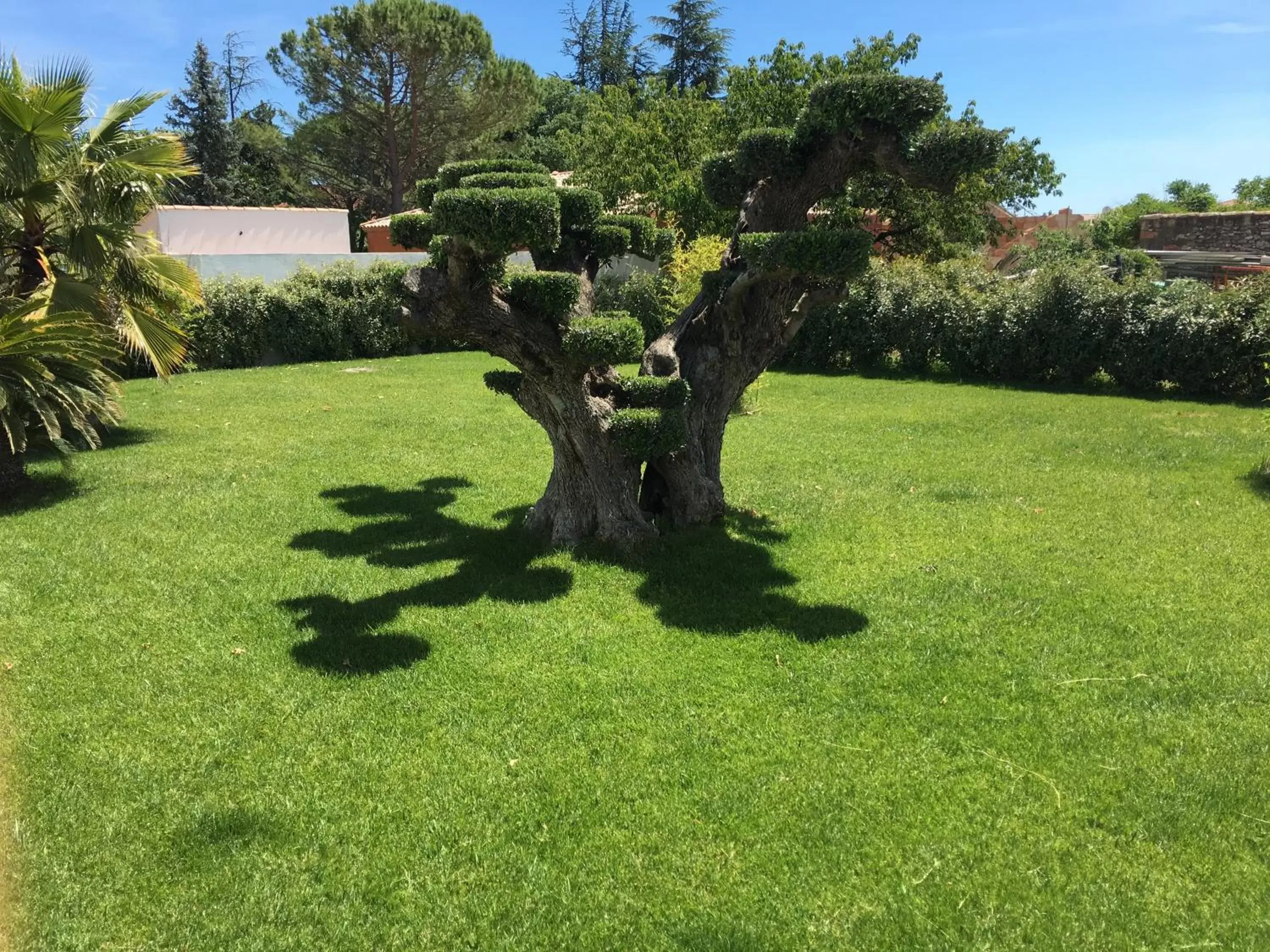 Garden in Chambres d'hôtes Bed and Breackfast Les Piscines