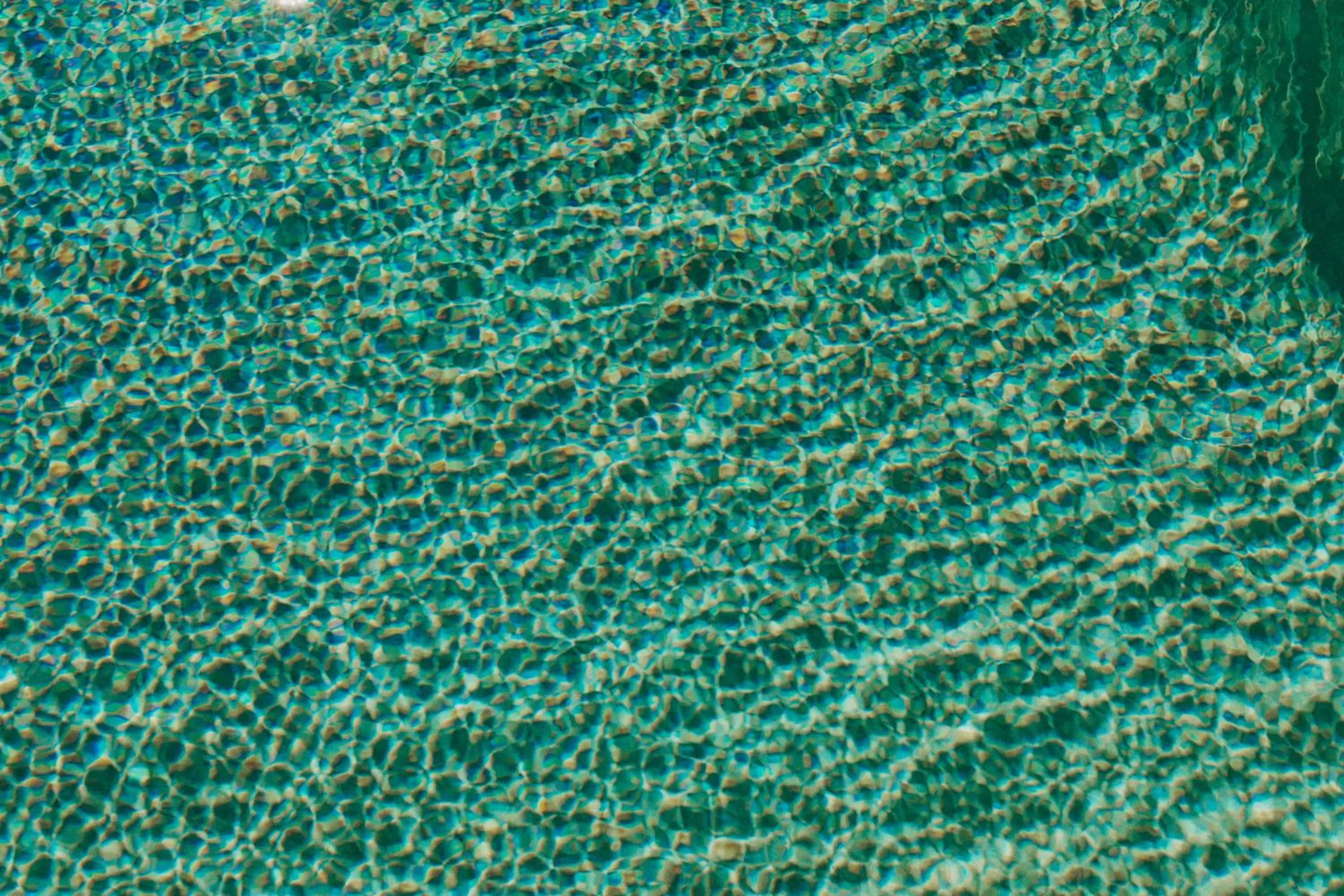 Swimming pool in Sandcastle Oceanfront Resort South Beach