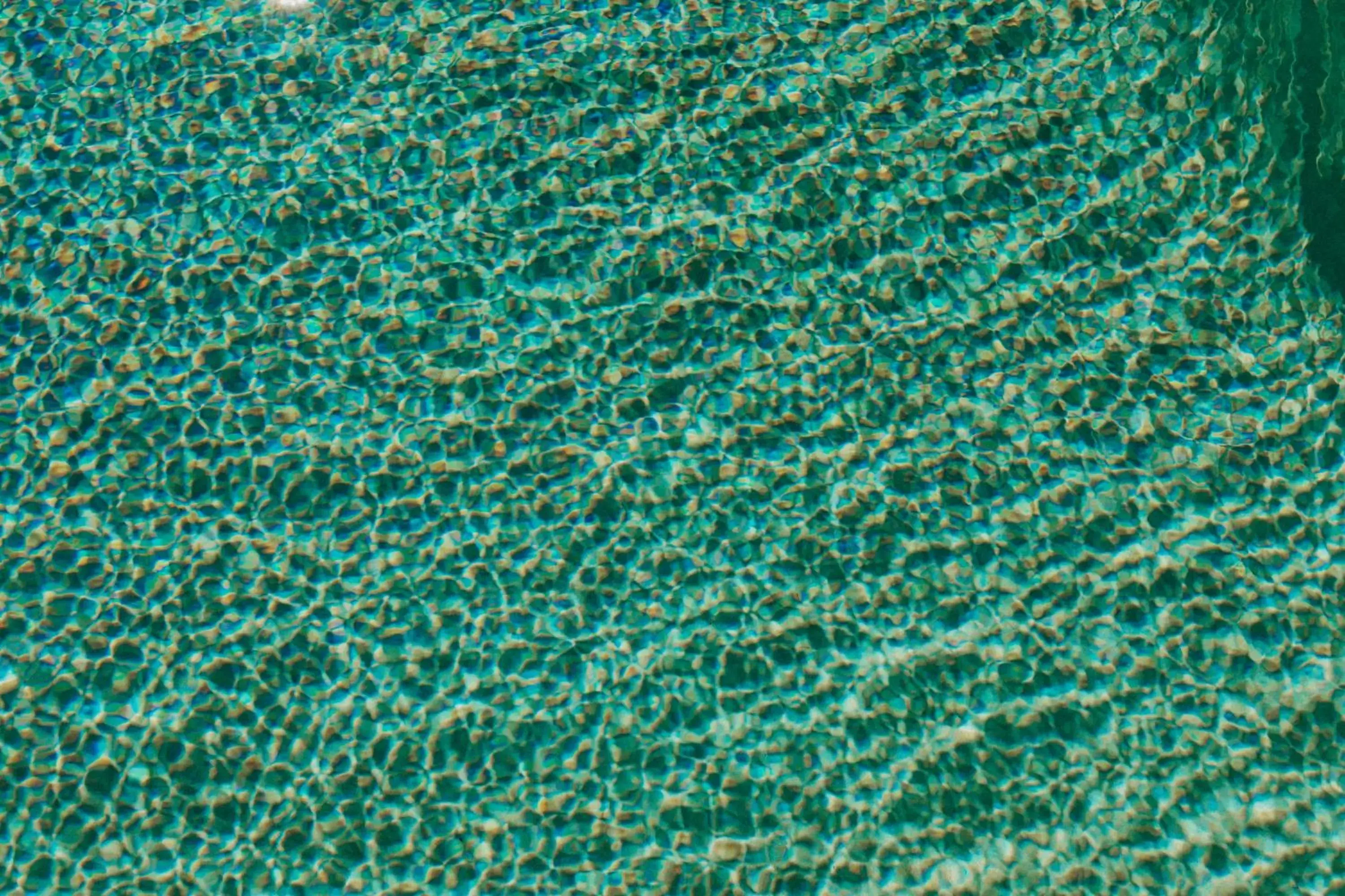 Swimming pool in Sandcastle Oceanfront Resort South Beach Swimming pool in Sandcastle Oceanfront Resort South Beach