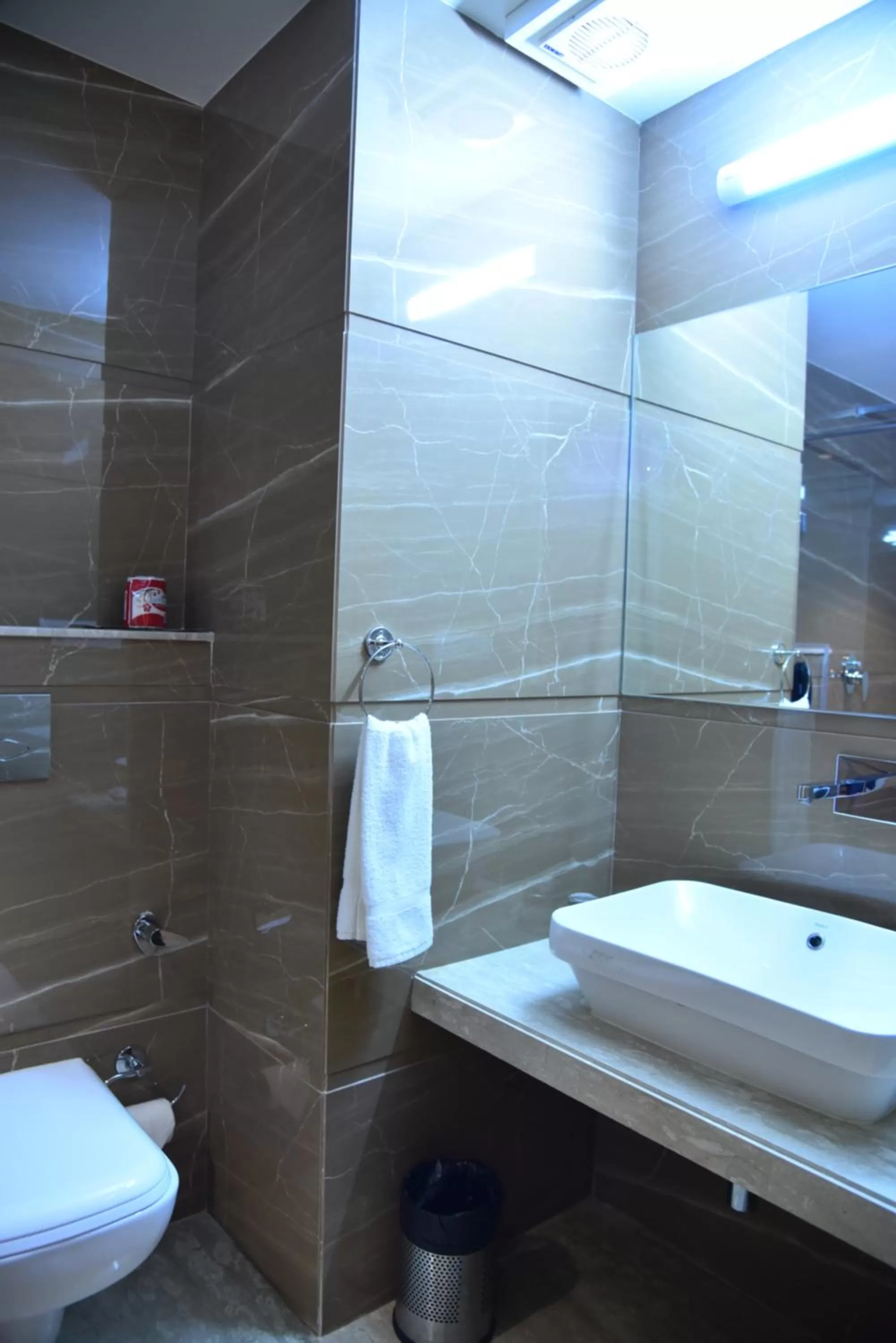 Bathroom in Narayanam