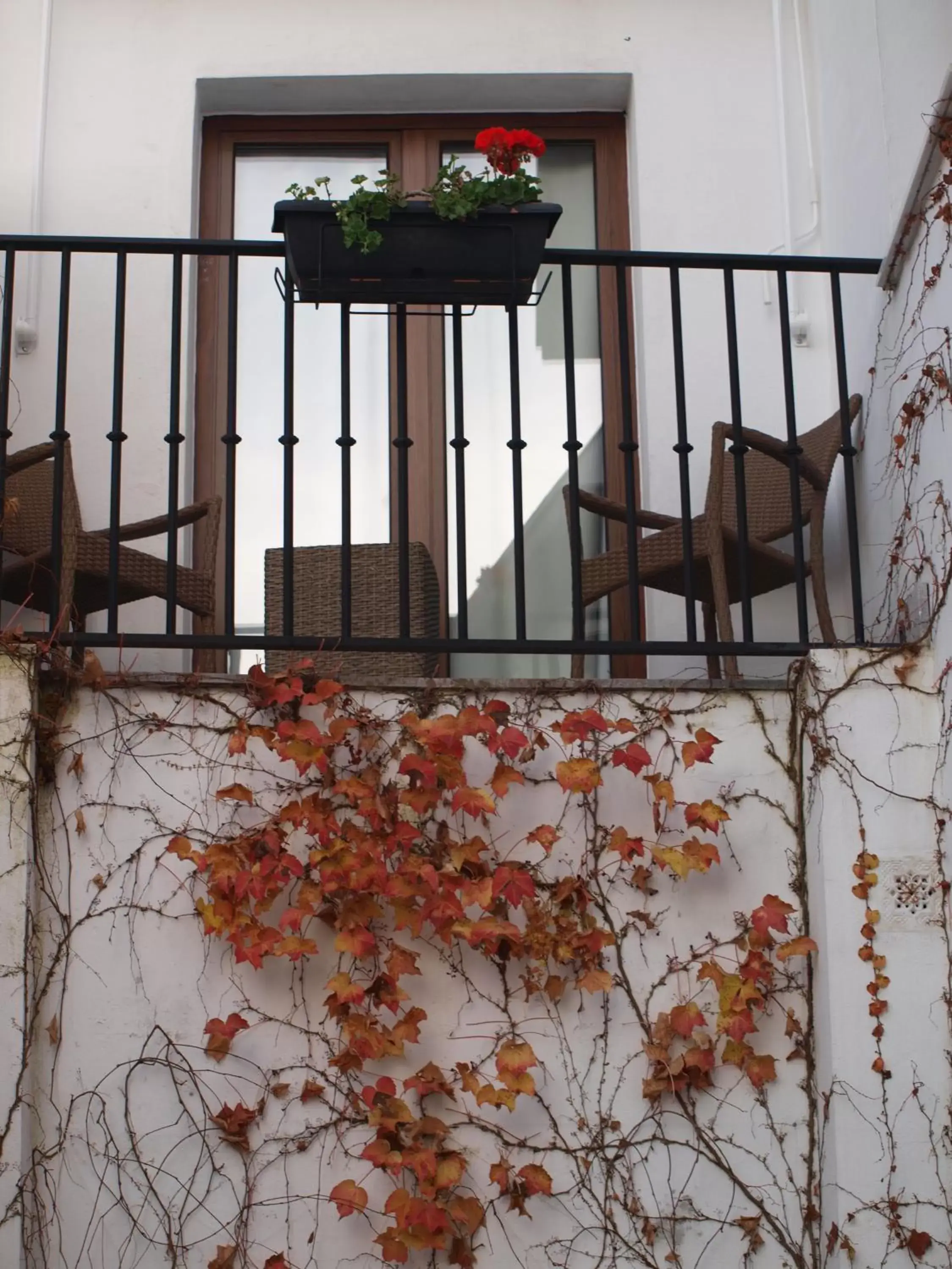 Balcony/Terrace in Hotel Mirador Arabeluj