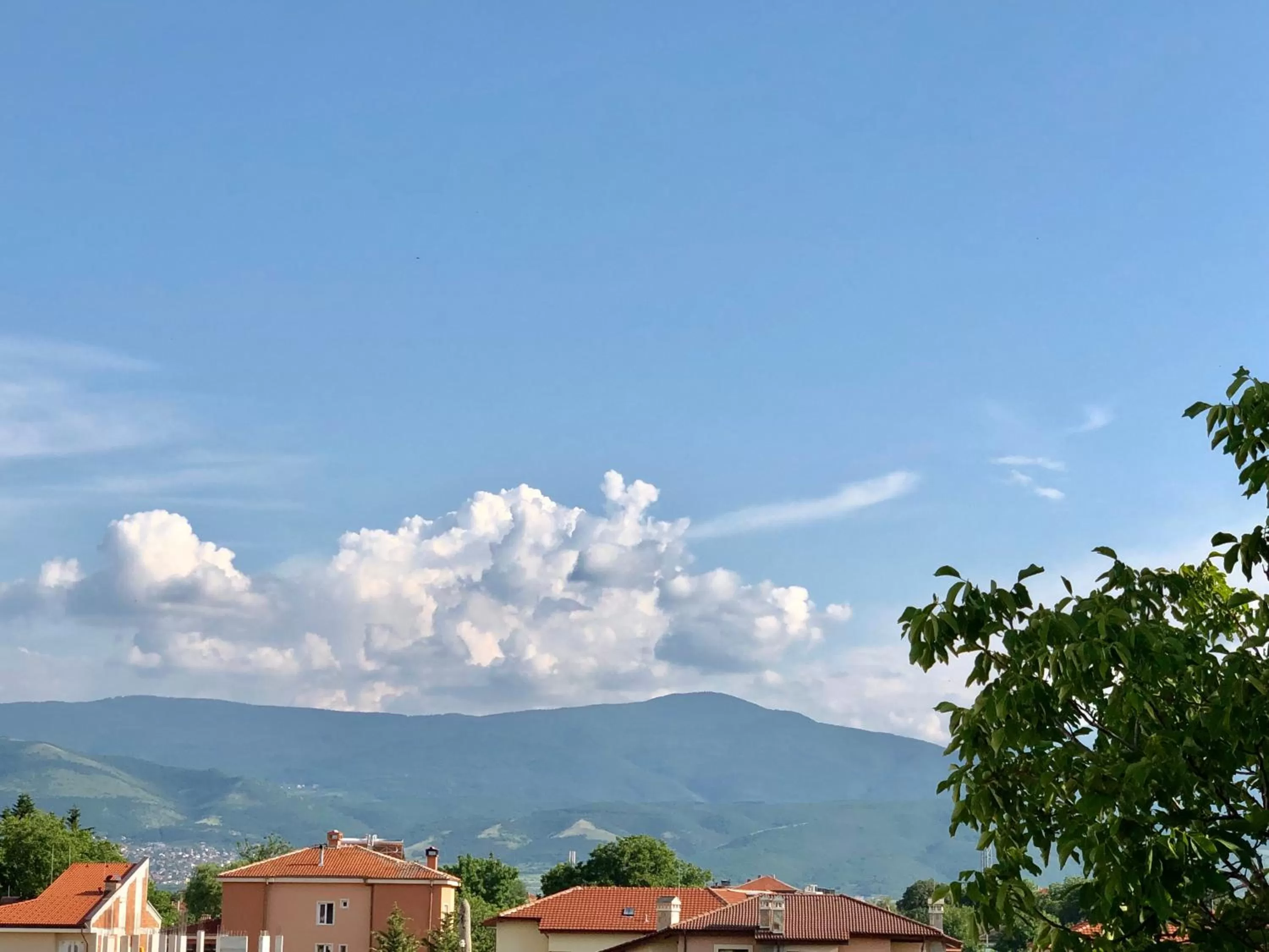 Day in Flamingo Plovdiv