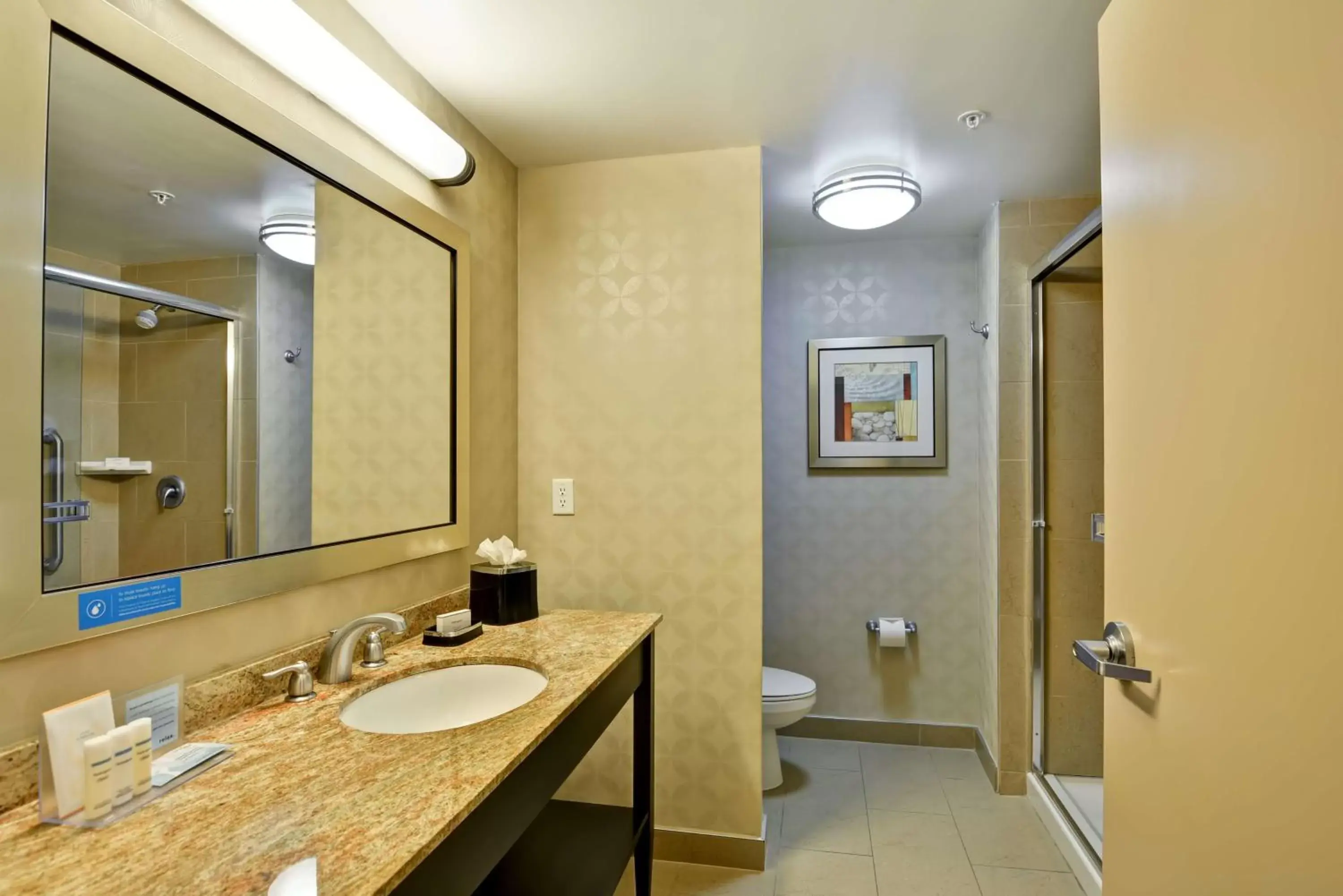 Bathroom in Hampton Inn & Suites Tampa Northwest/Oldsmar