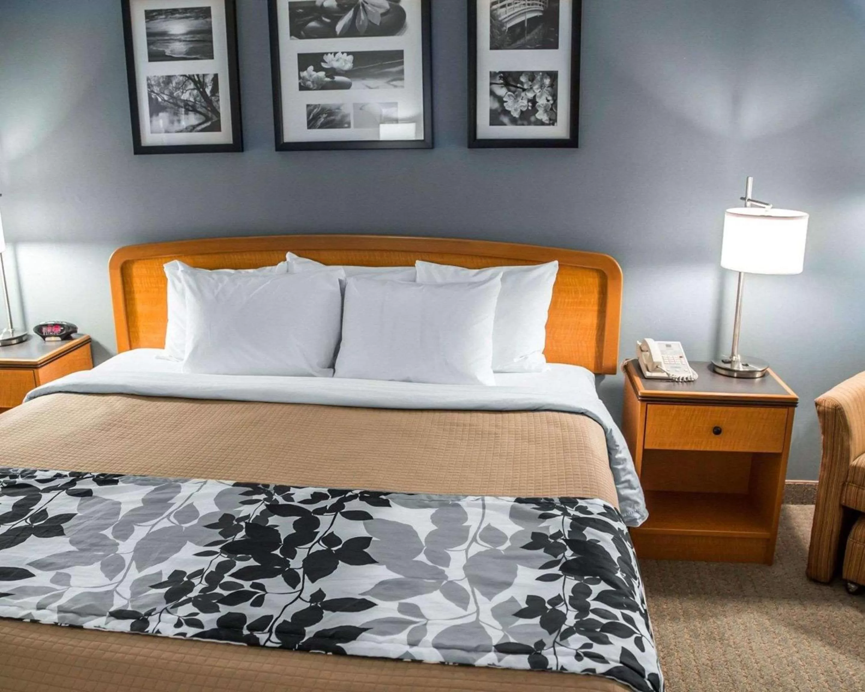 Photo of the whole room, Bed in Sleep Inn & Suites Davenport - Quad Cities