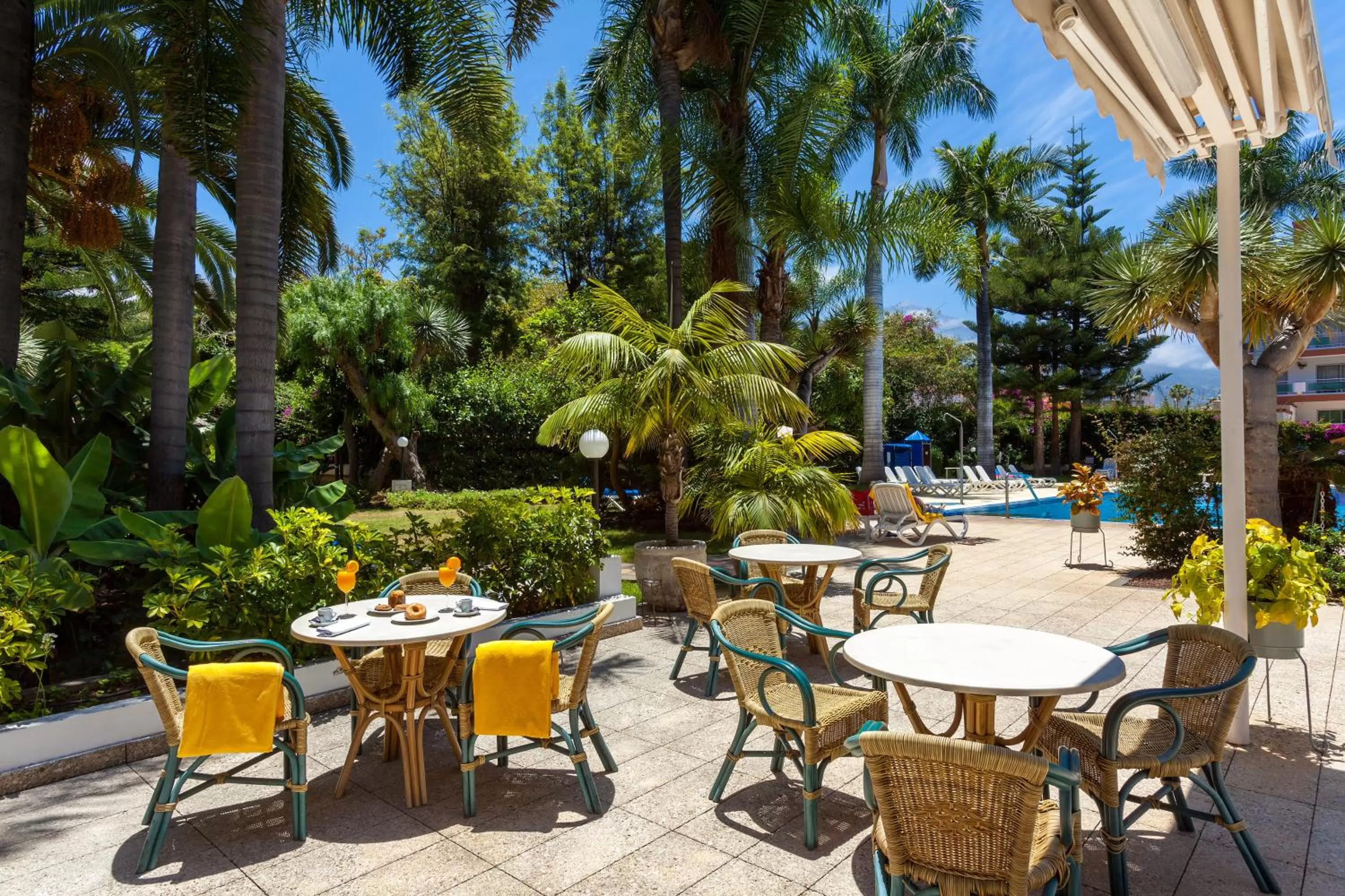 Garden in Apartamentos Masaru