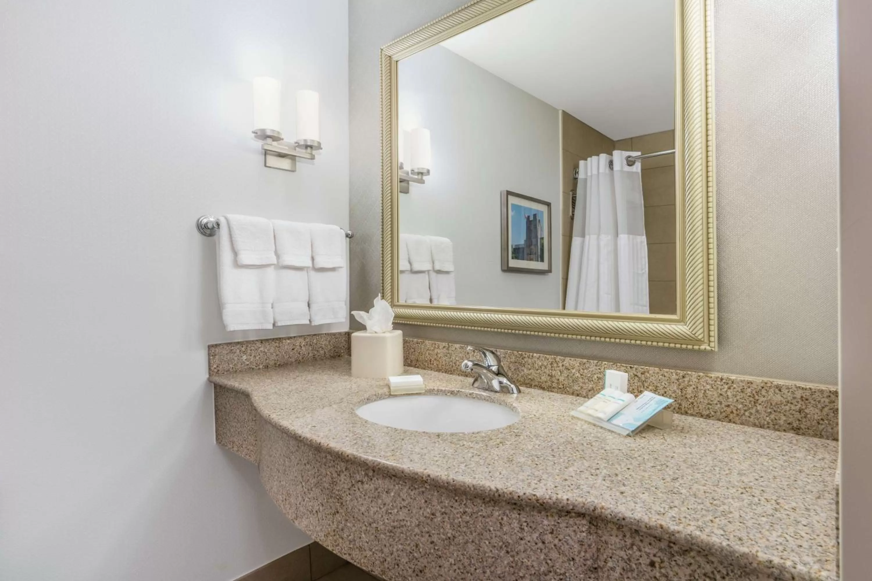 Bathroom in Hilton Garden Inn Blacksburg University