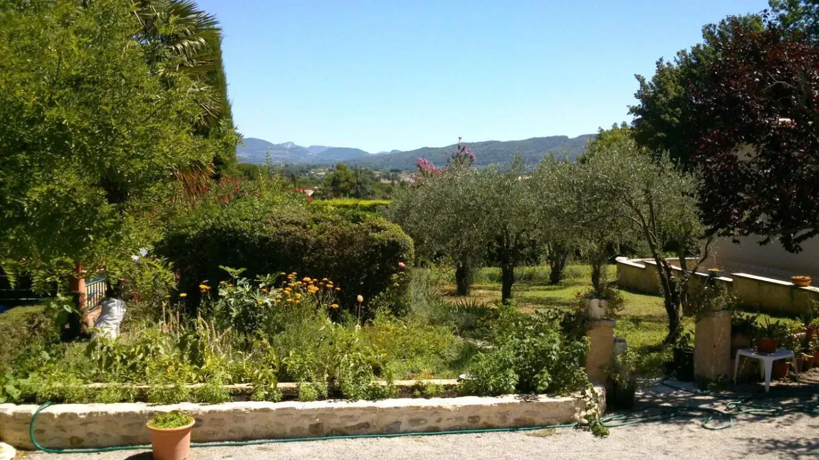 Mountain view in Les Verveines de Vaison