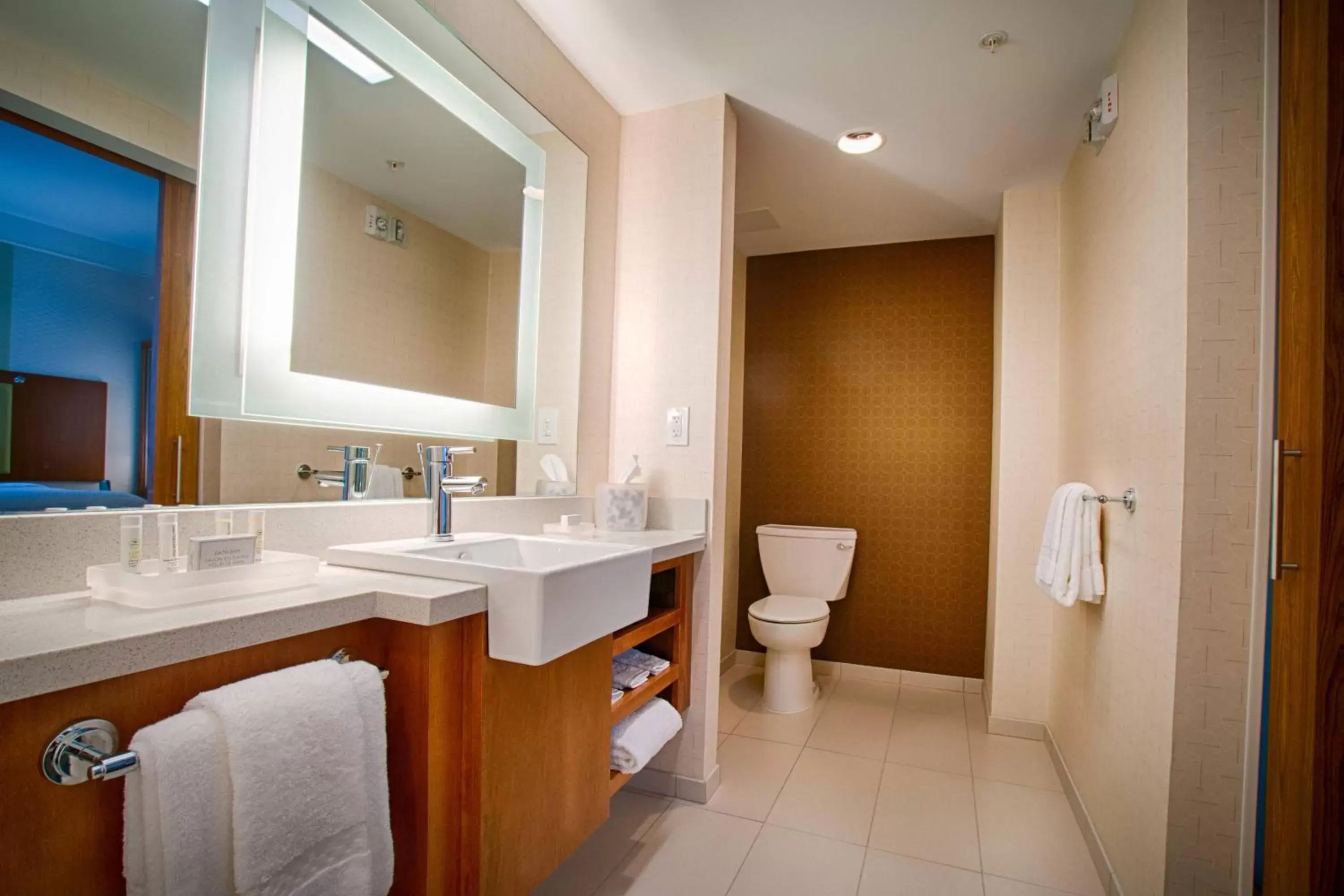 Bathroom in SpringHill Suites by Marriott Canton