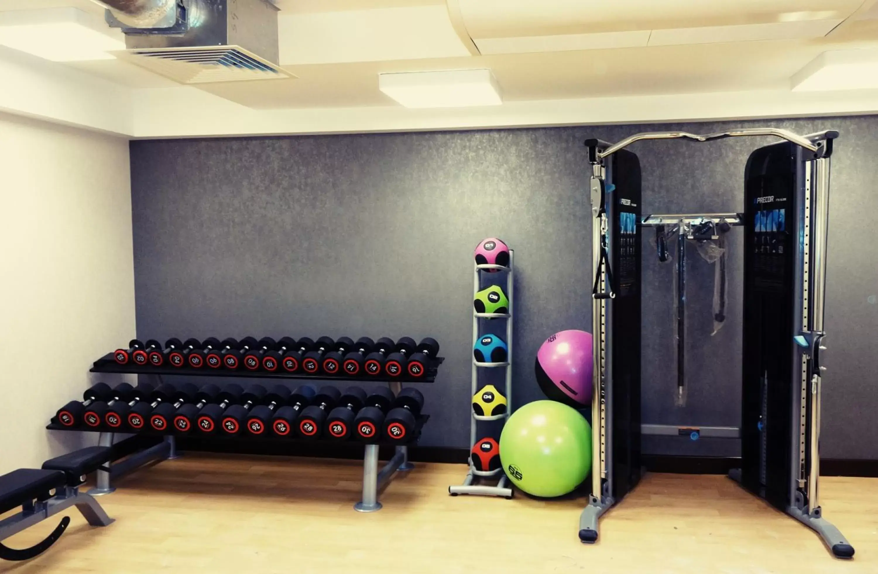 Fitness centre/facilities, Fitness Center/Facilities in Mercure Edinburgh Haymarket