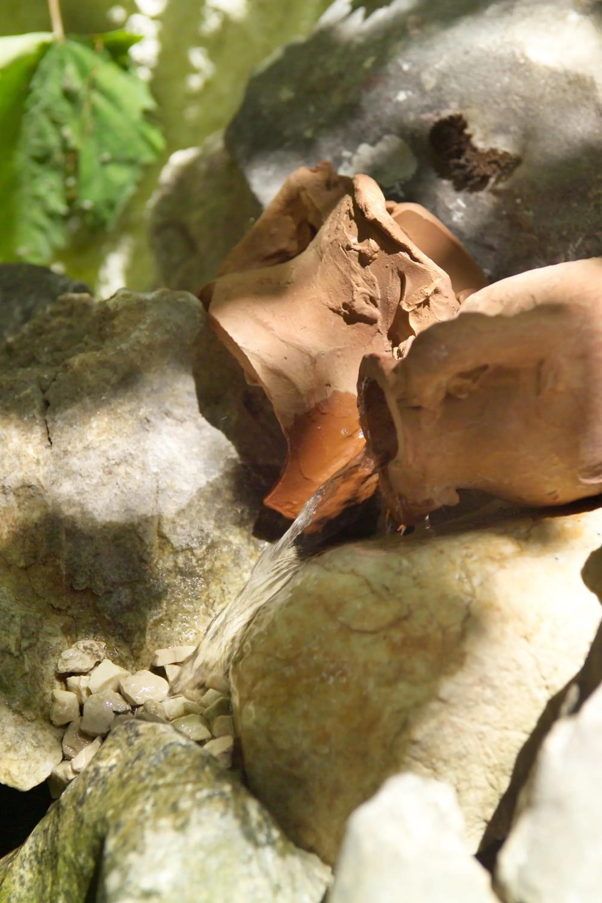 Garden in Hotel Touring Wellness & Beauty
