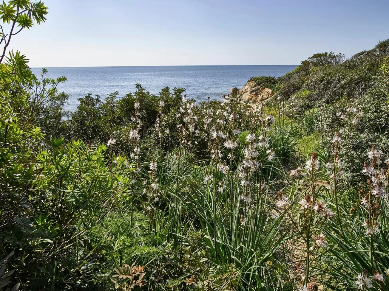 Logo/Certificate/Sign in Hotel Jasmine