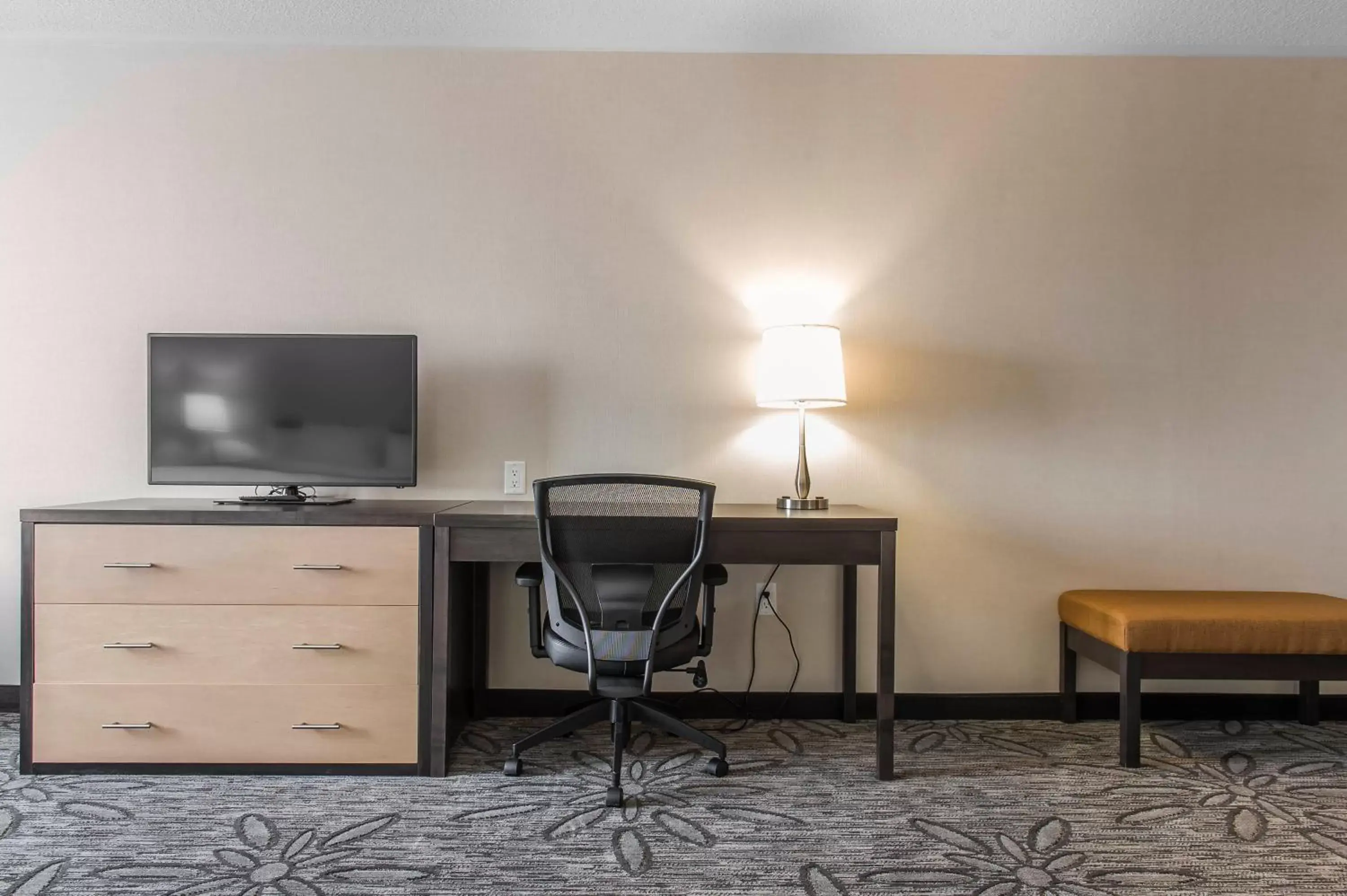 Decorative detail, TV/Entertainment Center in Quality Inn & Suites Kingston