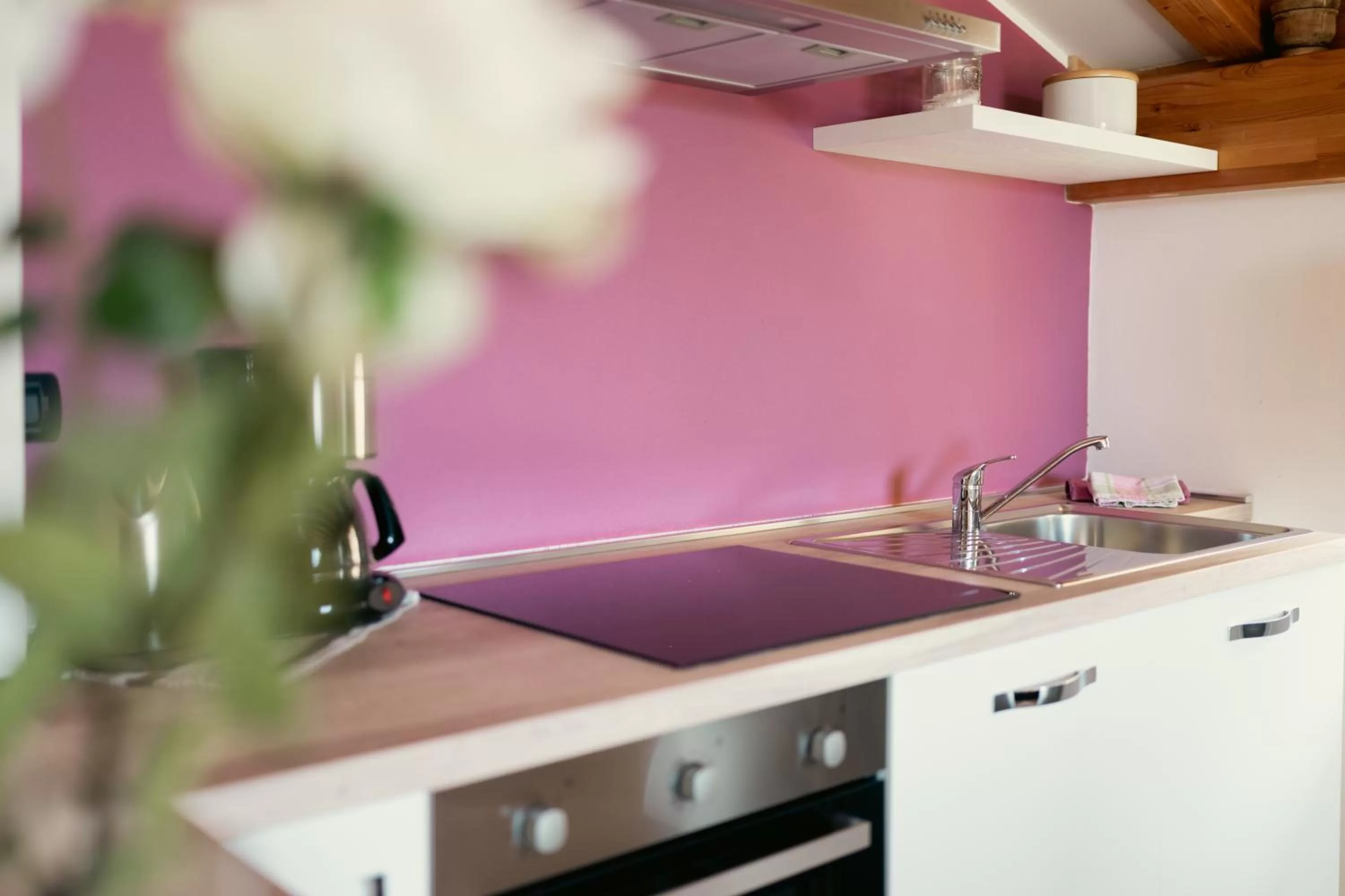 kitchen in Residence Antico Torchio