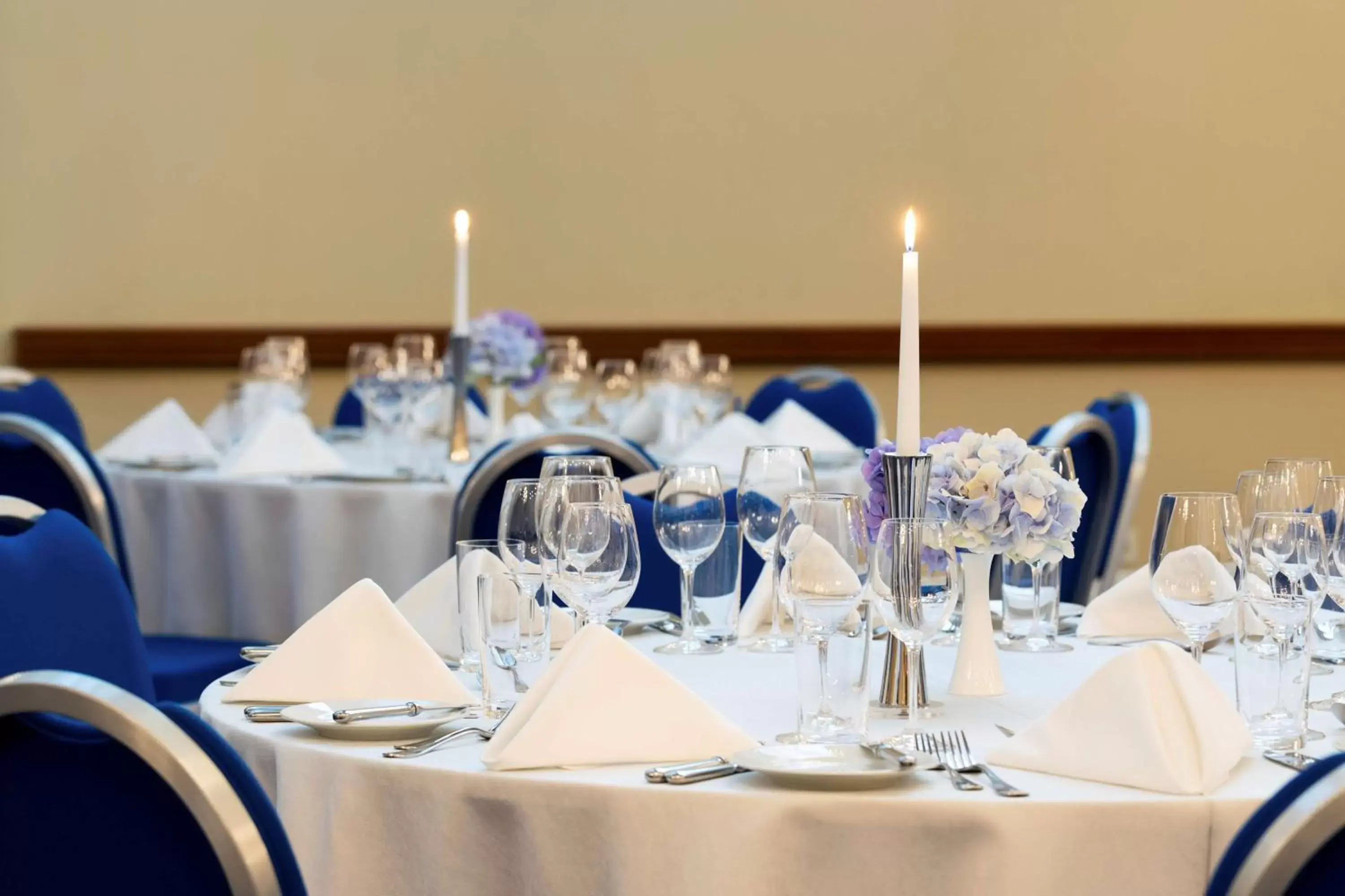 Banquet/Function facilities, Restaurant/Places to Eat in Grand Hotel Kempinski Vilnius