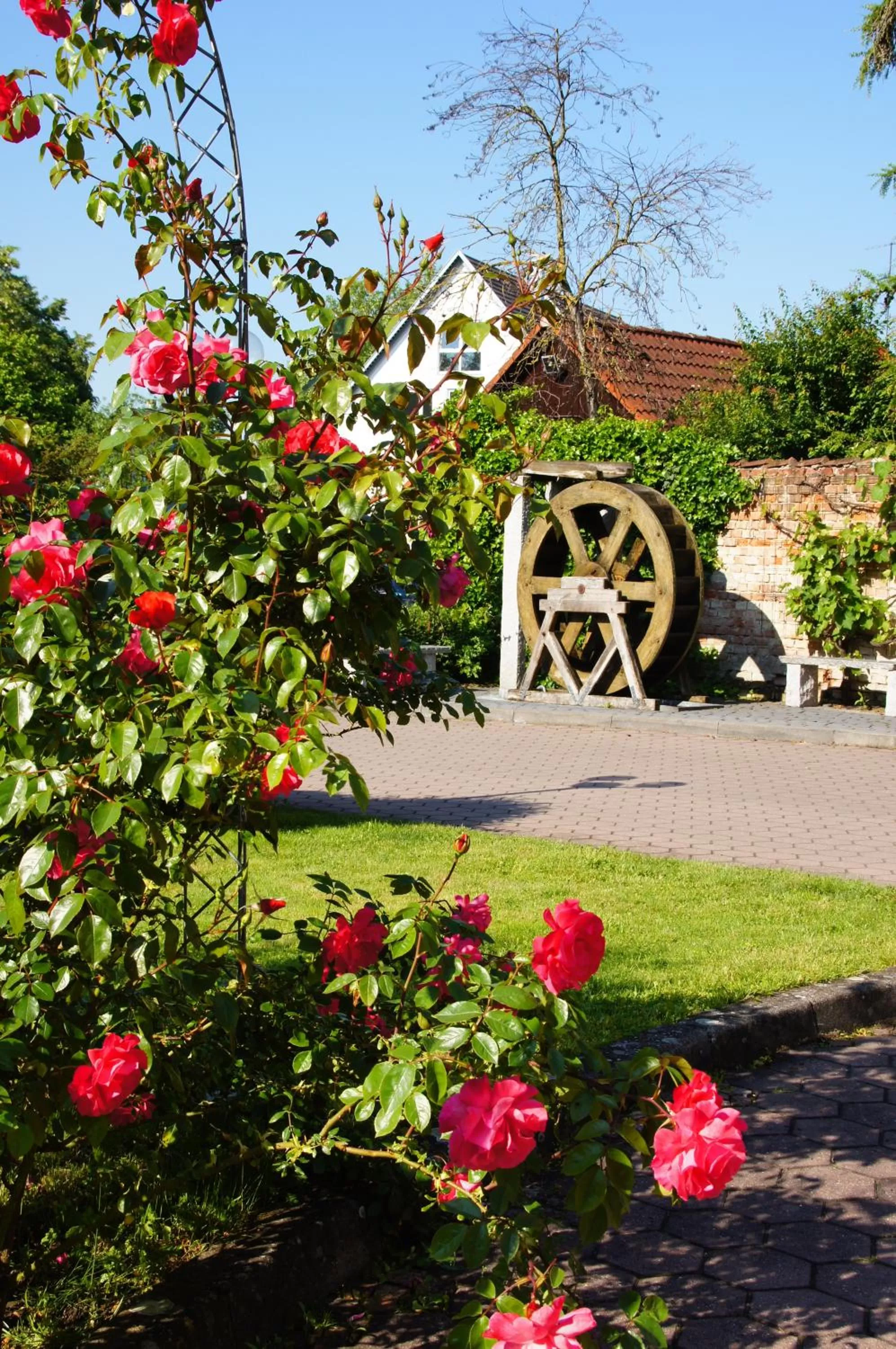 Patio in Lobinger Hotel Weisses Ross