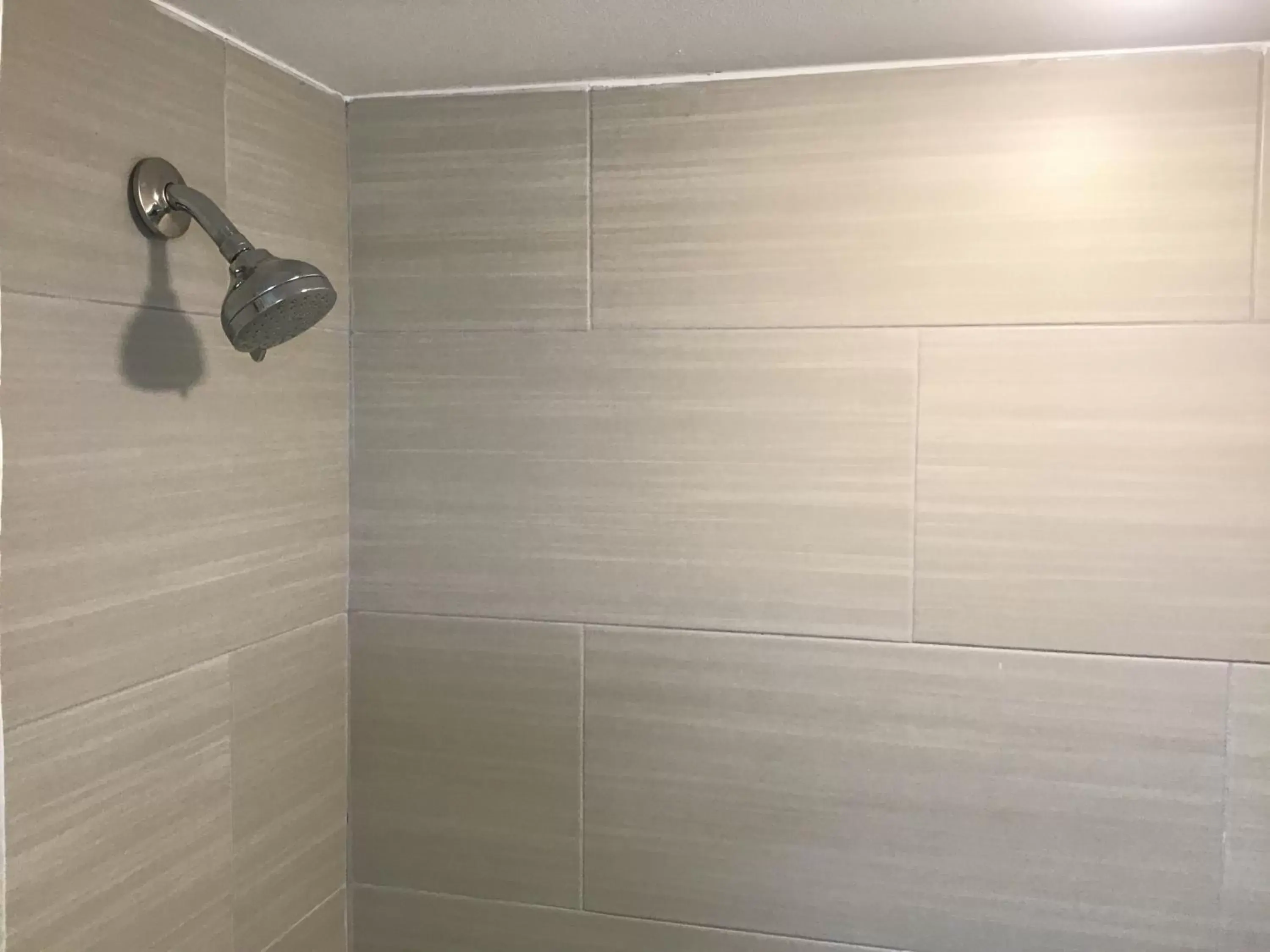 Shower, Bathroom in Bellevue Hotel and Suites