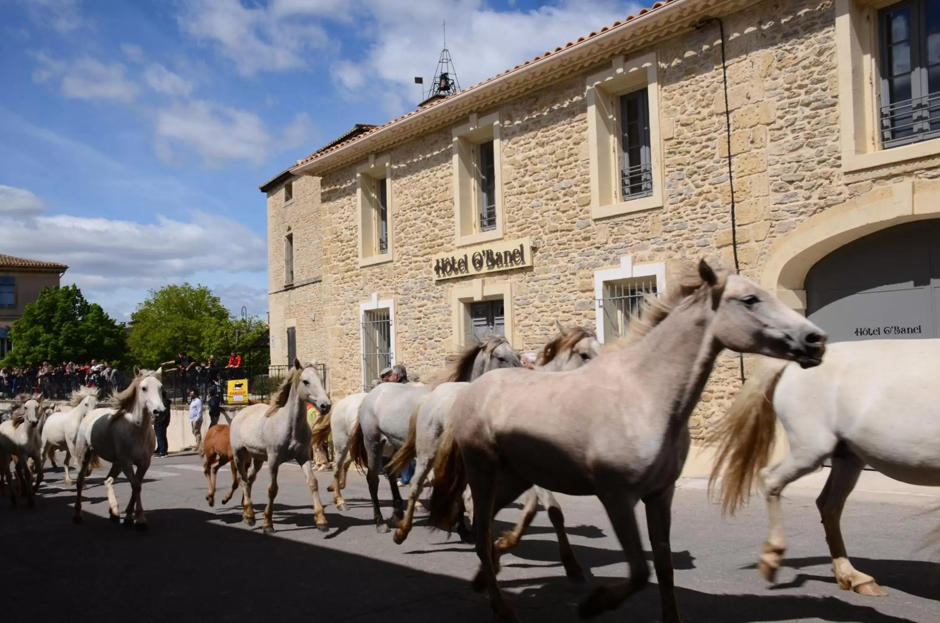 Property building, Other Animals in Hôtel O’Banel