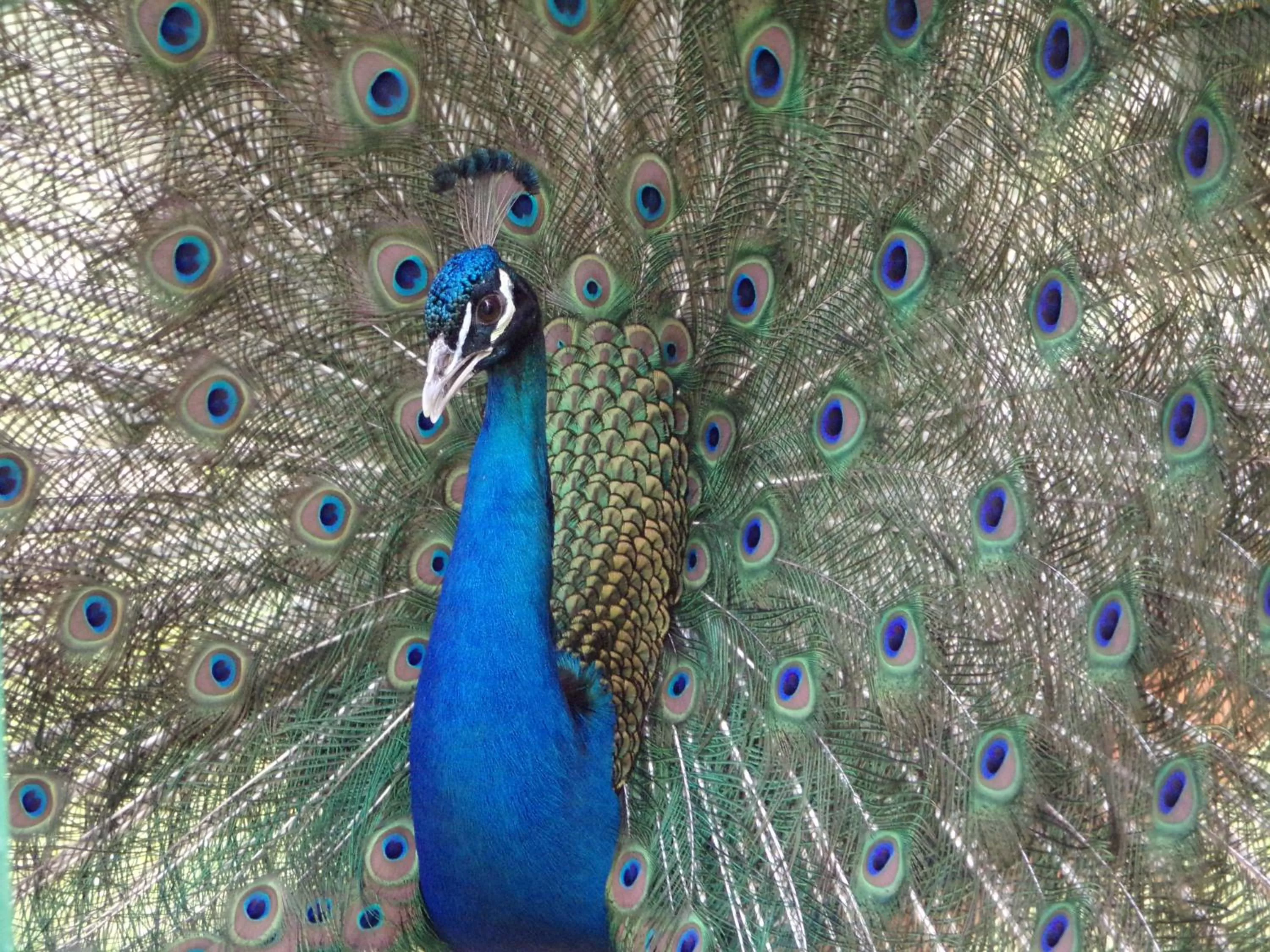 Terme Di Monte Valenza