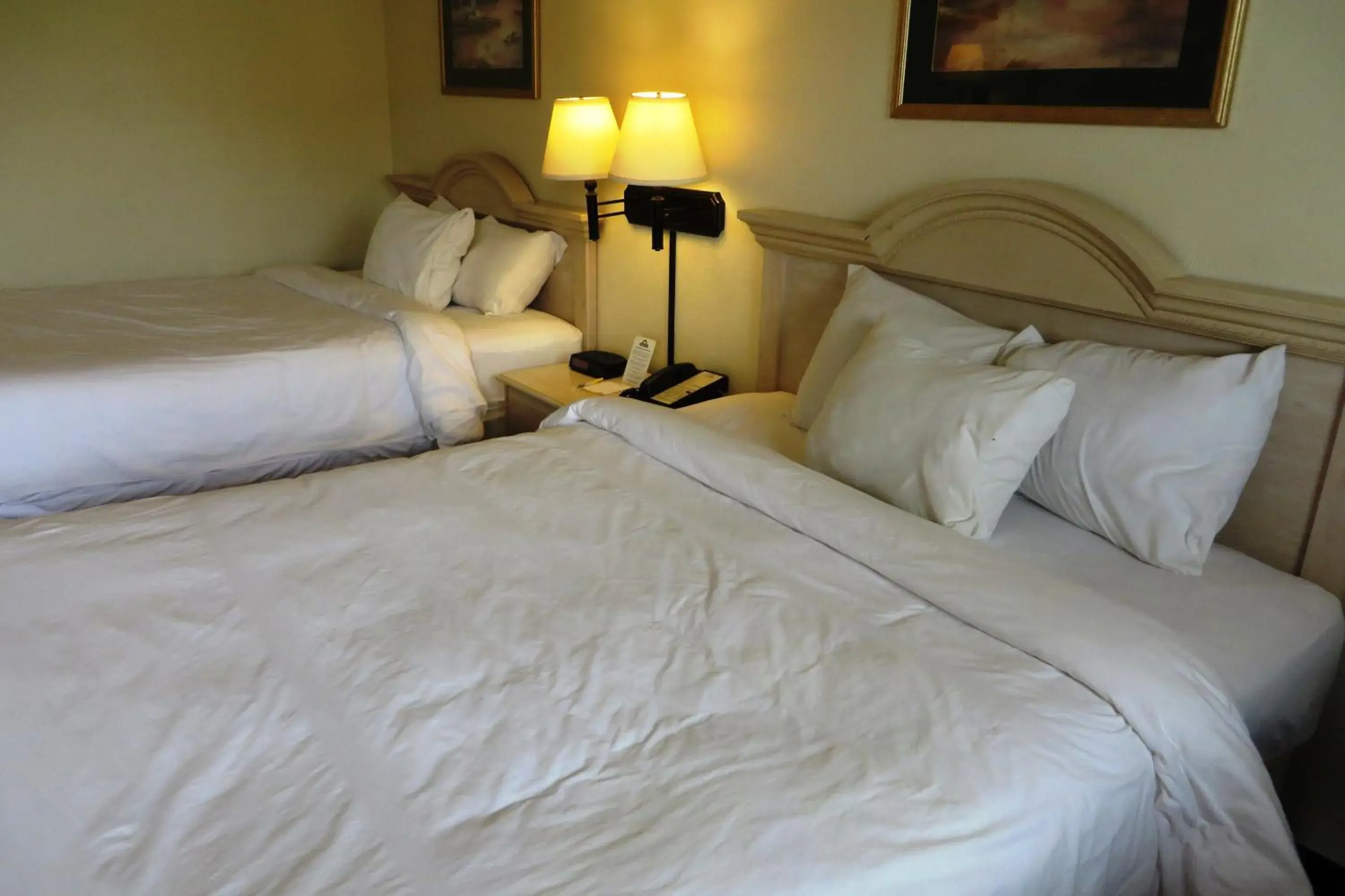 Bed in Days Inn by Wyndham Plainfield