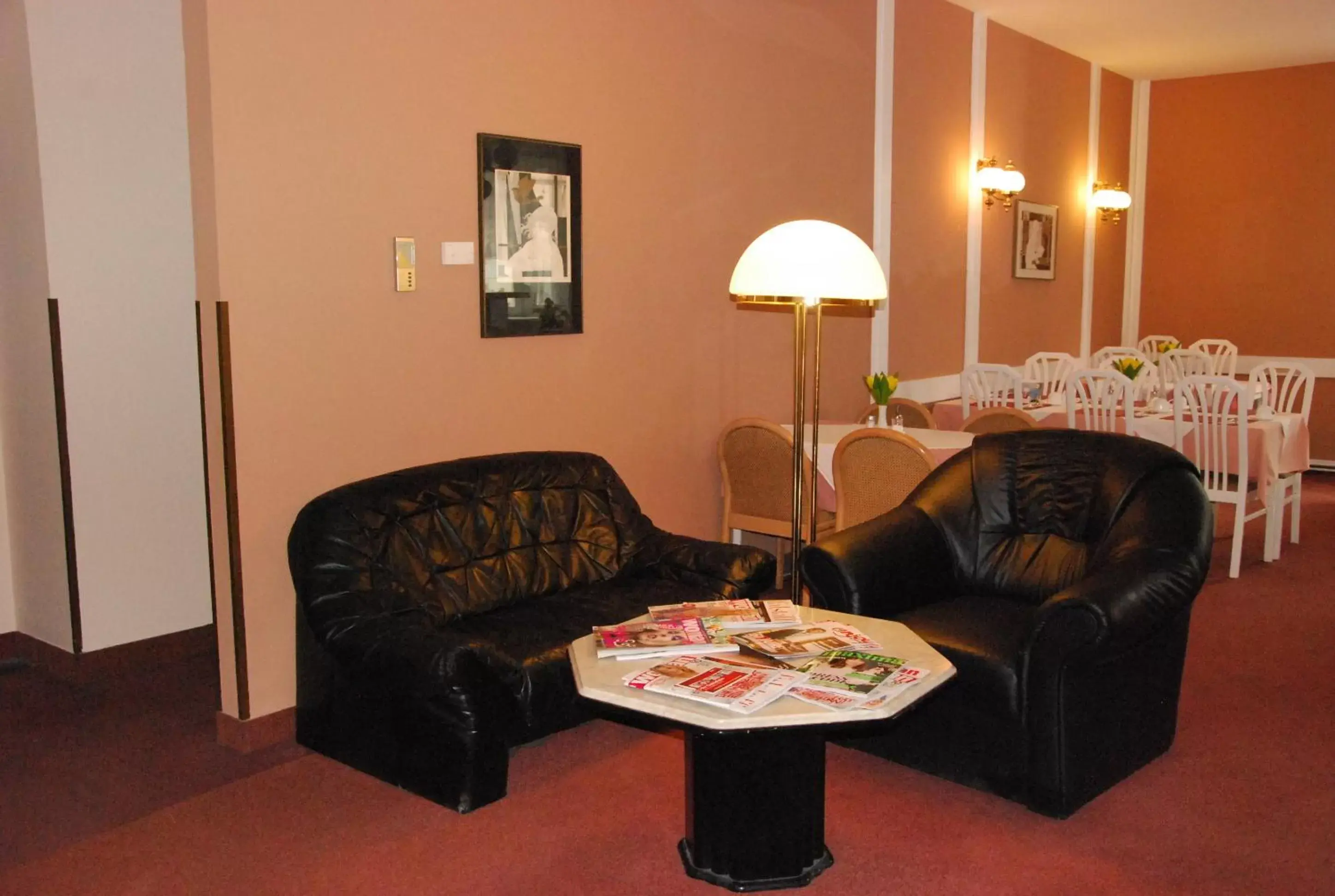 Lobby or reception, Seating Area in Continental Hotel-Pension