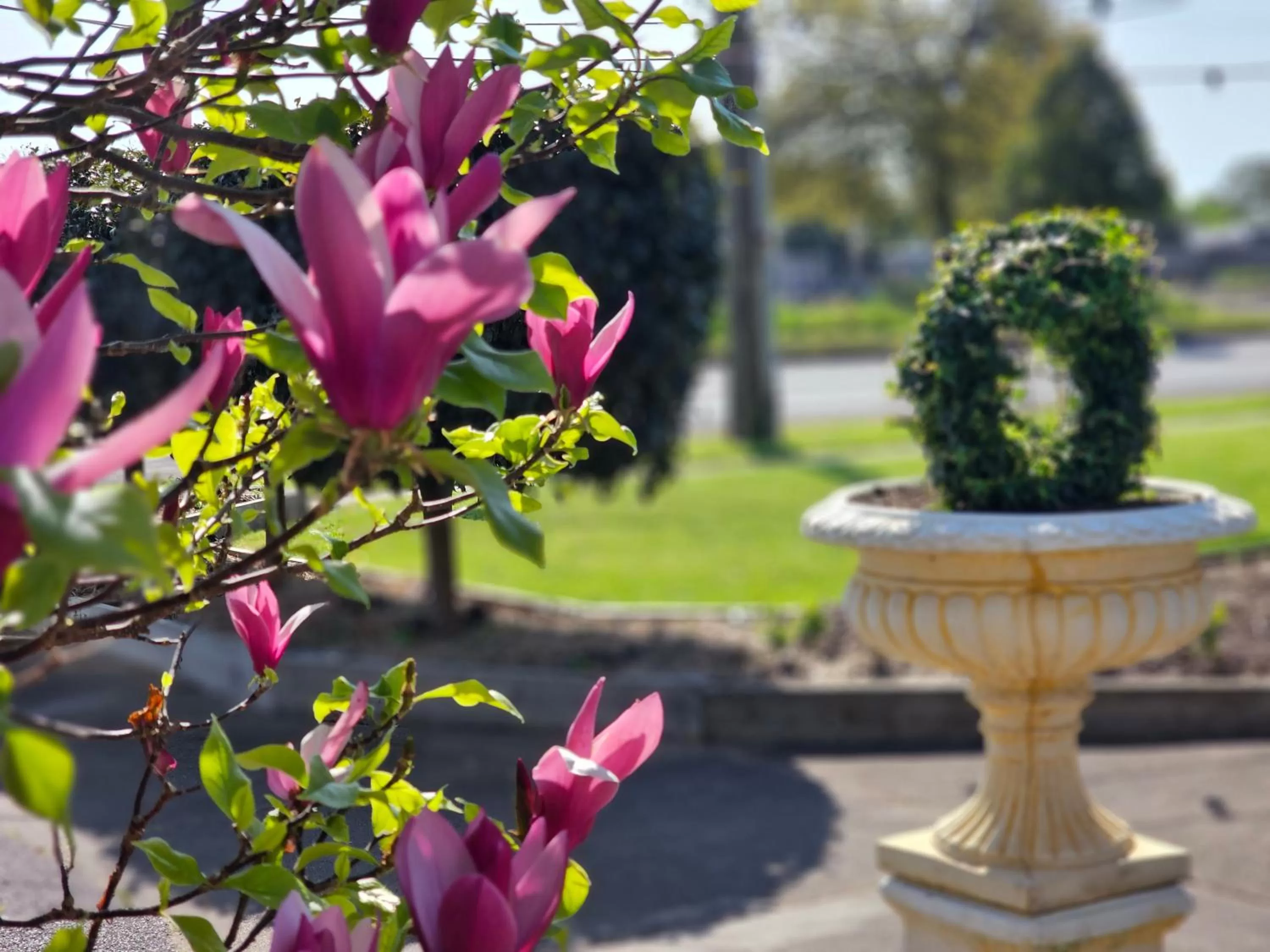 Hamilton Lakeside Motel