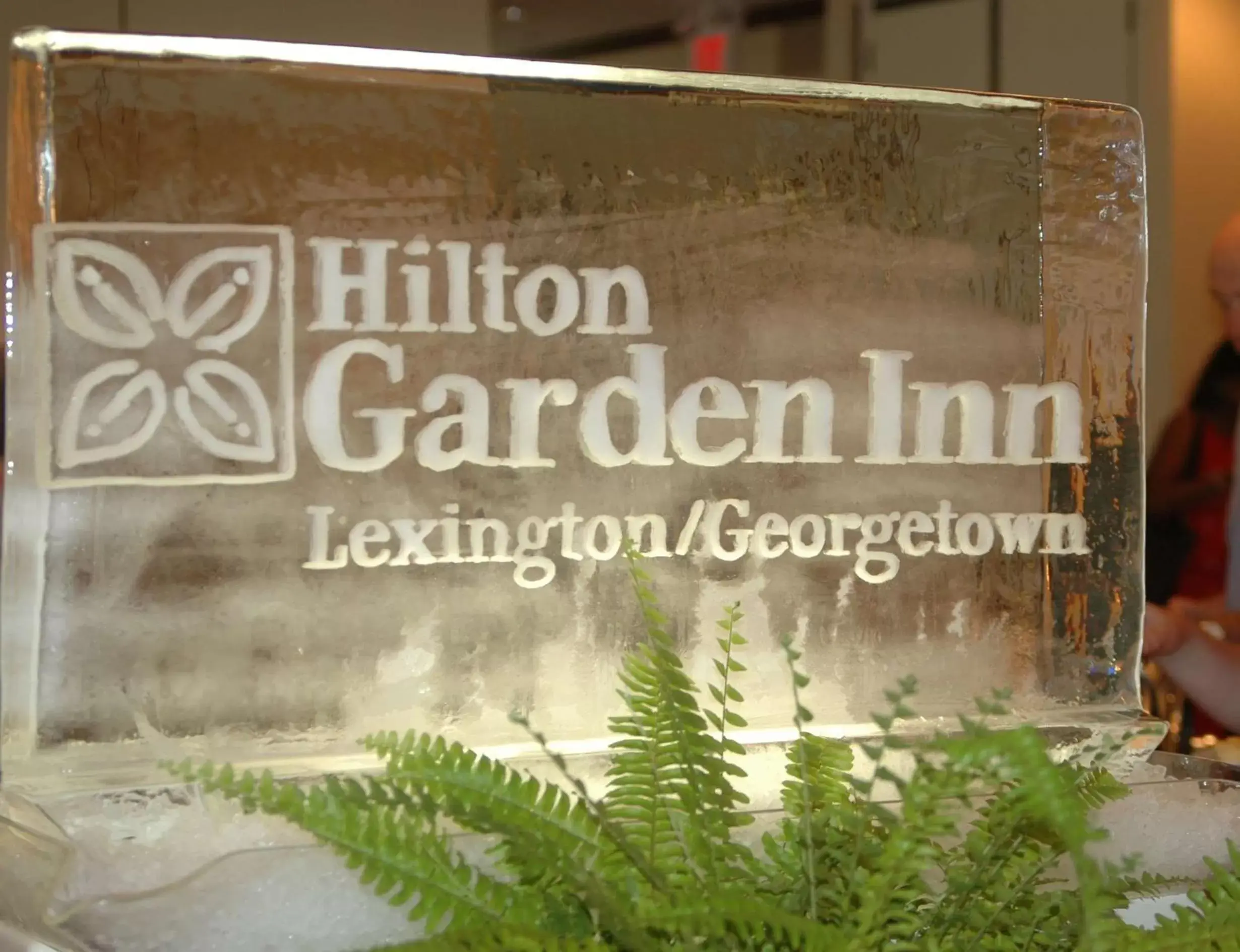 Meeting/conference room in Hilton Garden Inn Lexington Georgetown