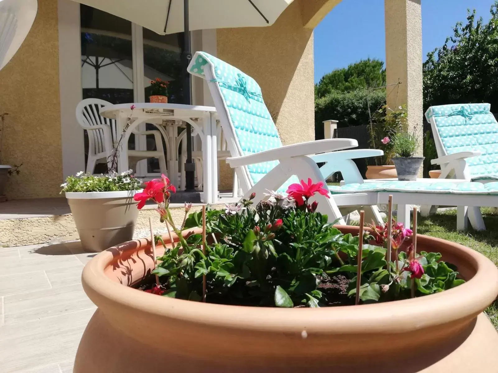 Garden in Chambre d'hôtes en provence avec Jacuzzi