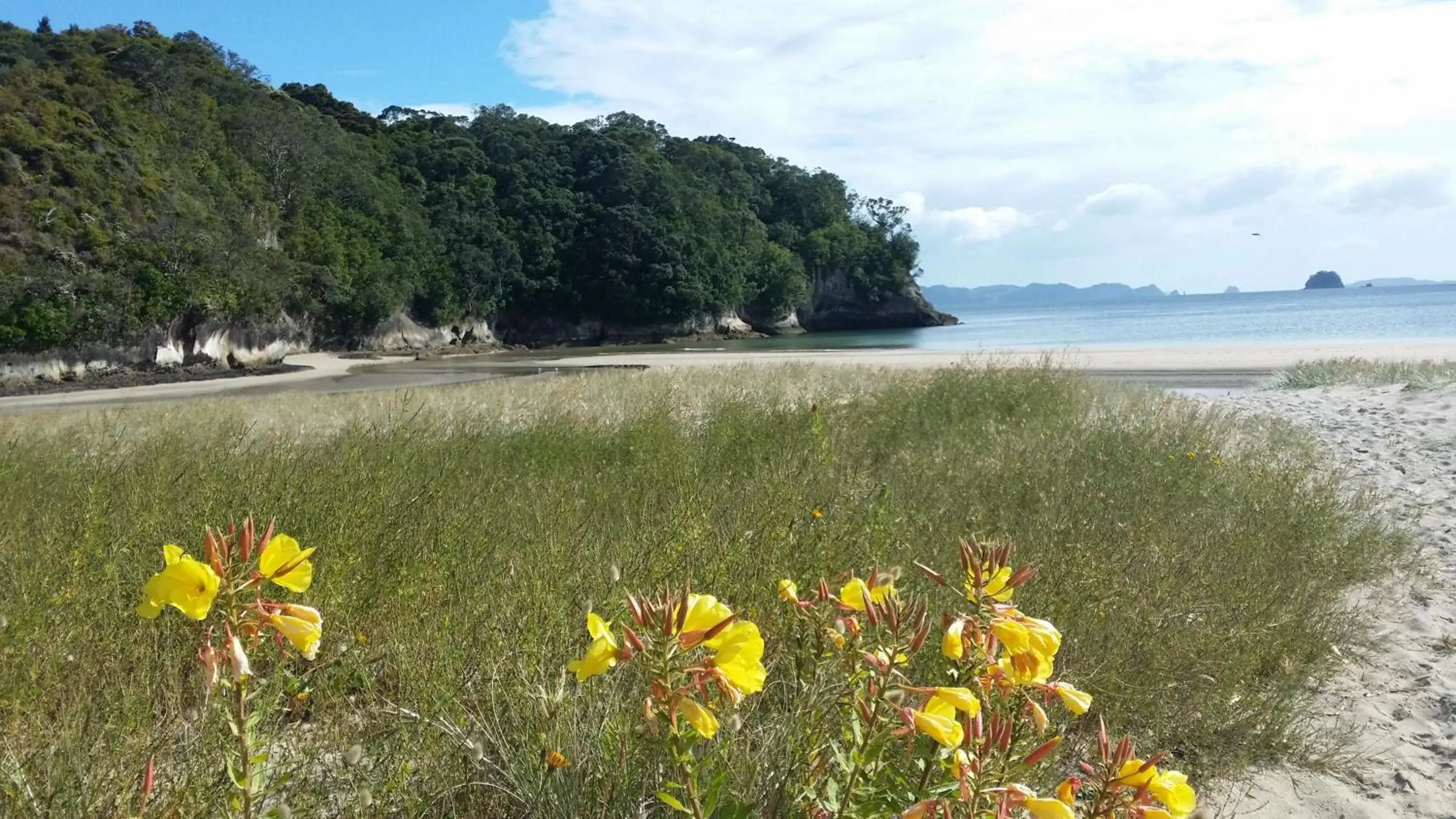 Natural landscape in Sovereign Pier On The Waterways