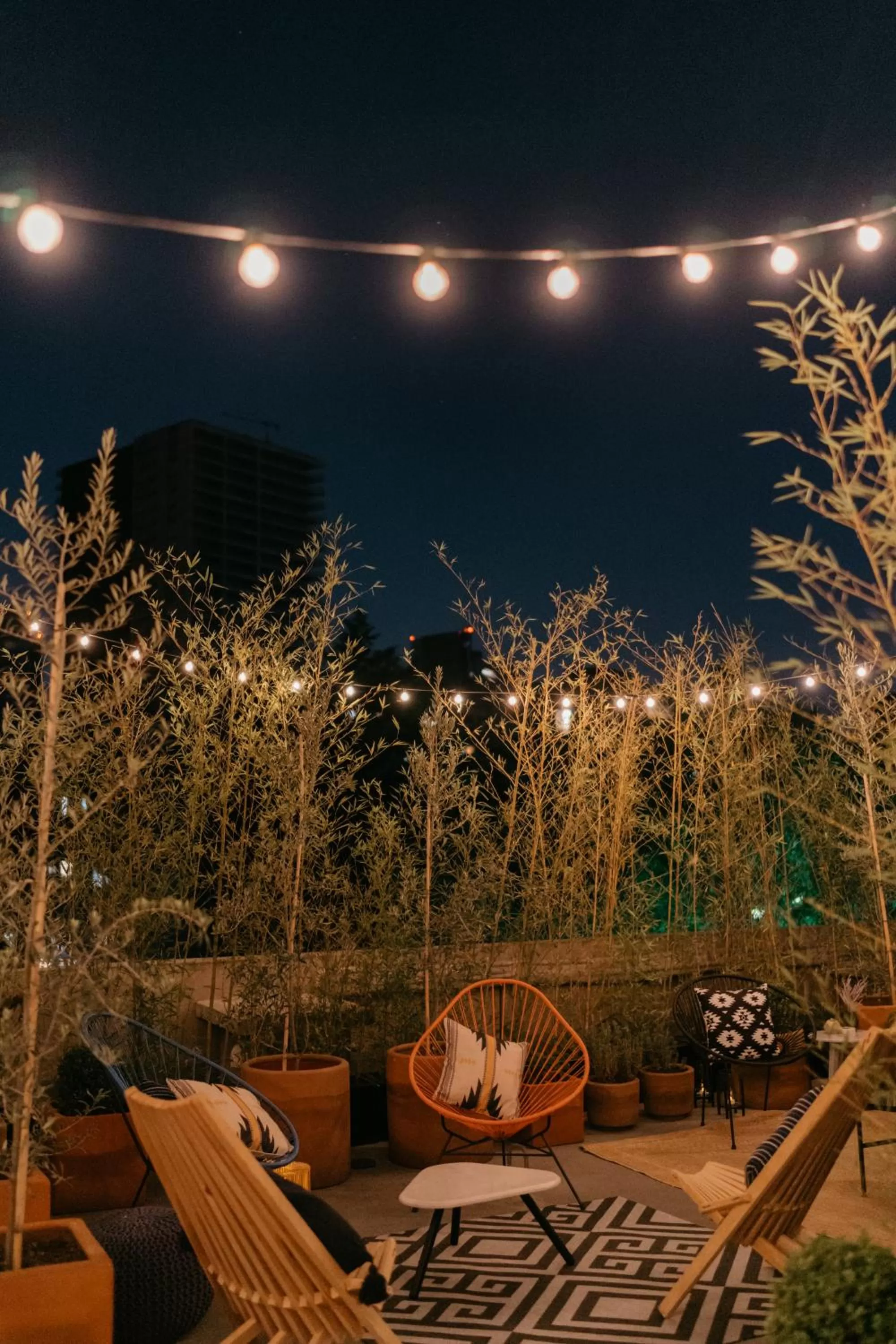 View (from property/room) in The Wild Oscar