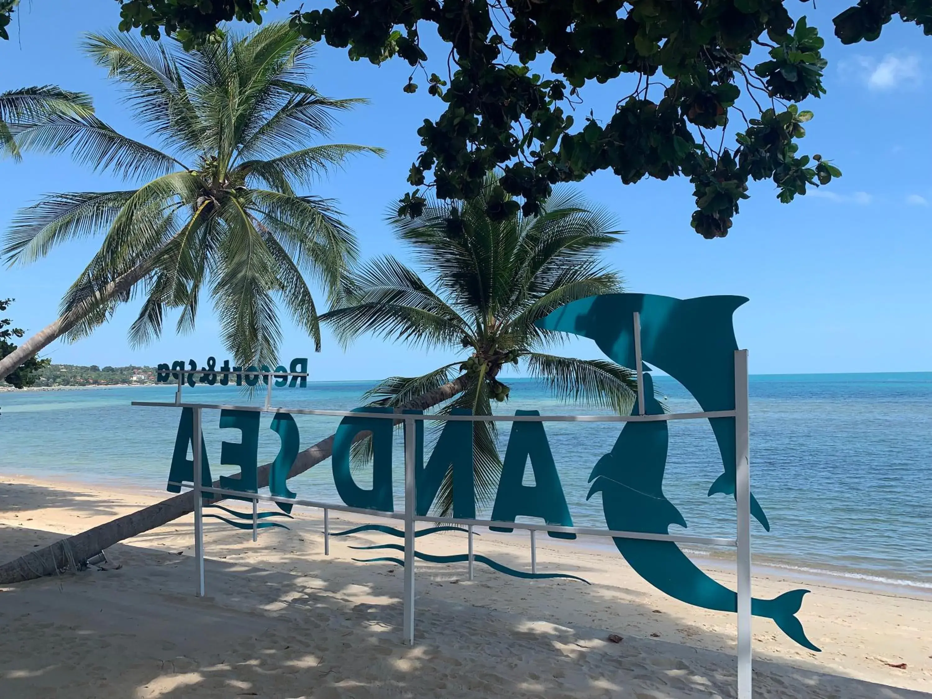 Sea view, Beach in Sand Sea Resort & Spa - Lamai Beach , Koh Samui