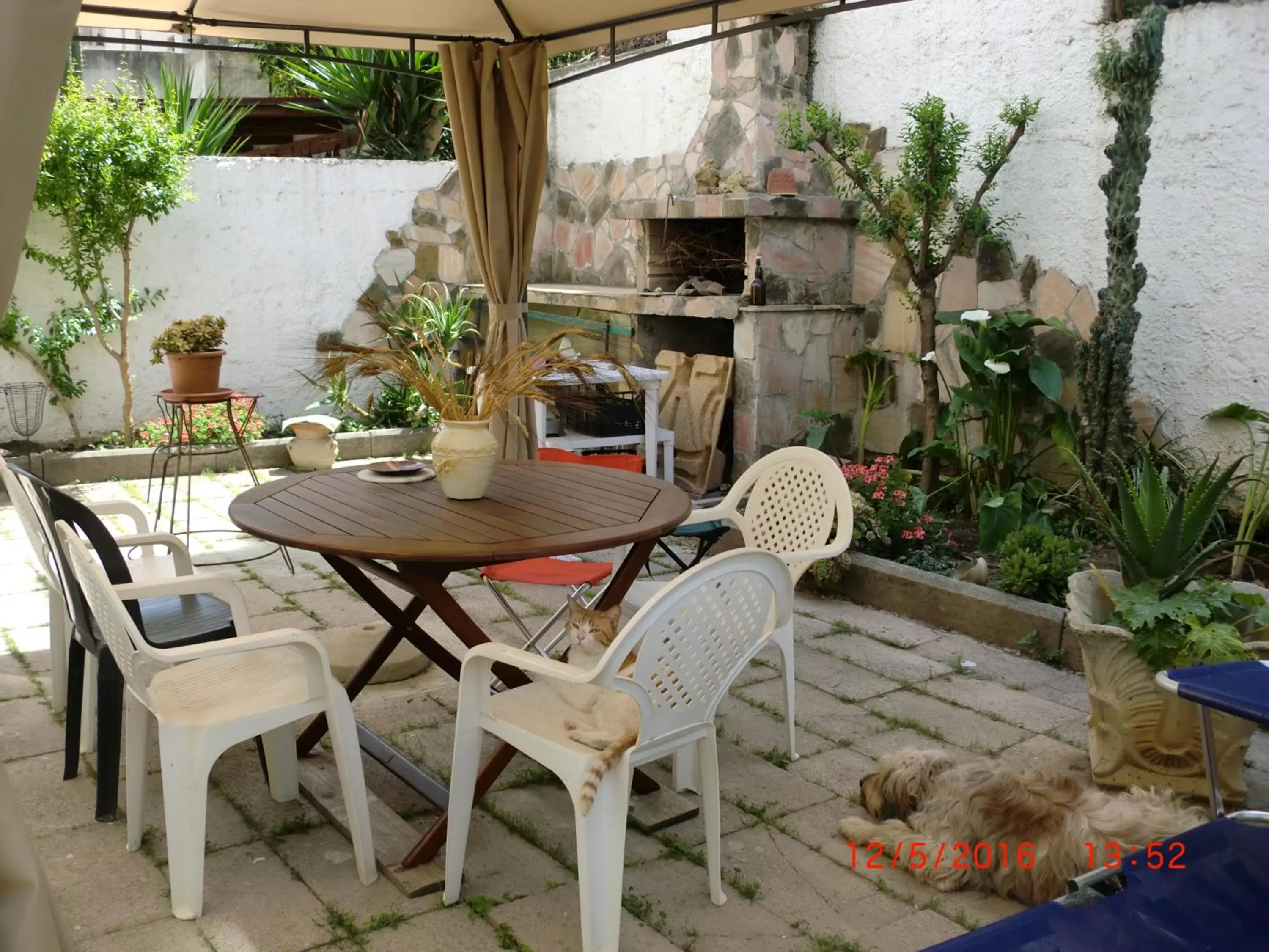 Patio in B&B Il Giardinetto Alghero