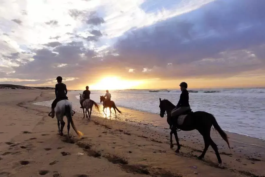 Nearby landmark, Horseback Riding in Hôtel Café Miramar