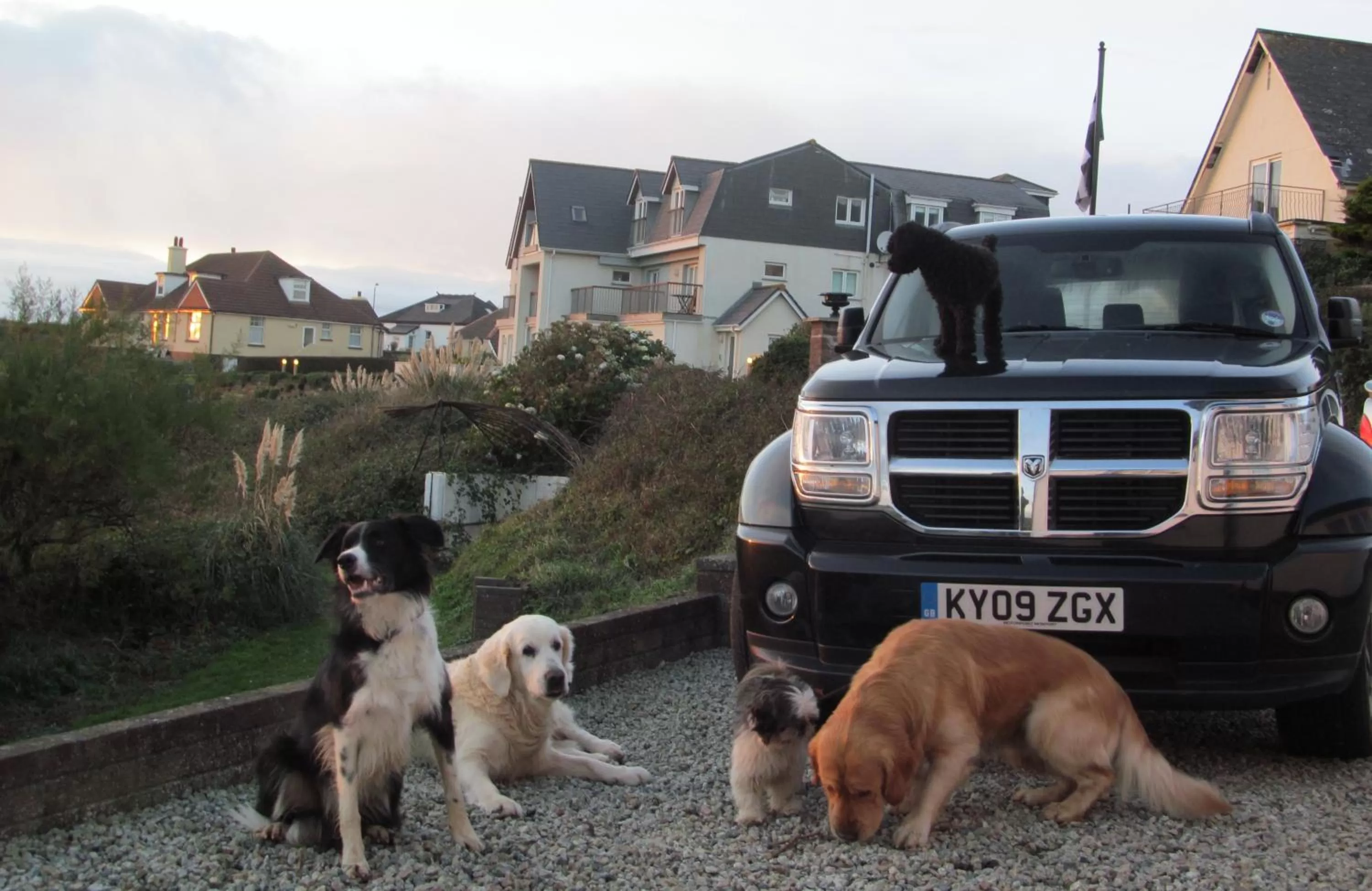 Garden in Upton Cross B&B