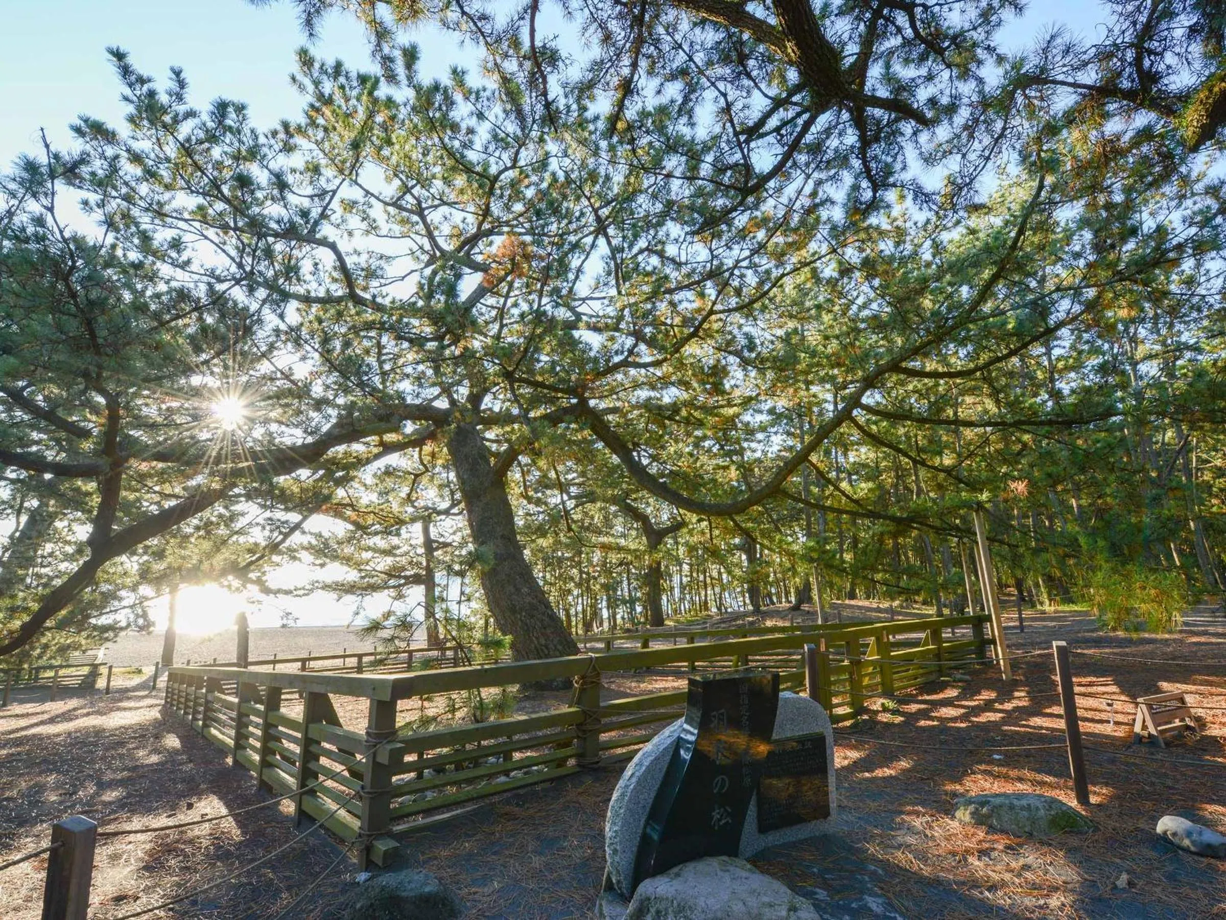 Off site in Hotel Hagoromo