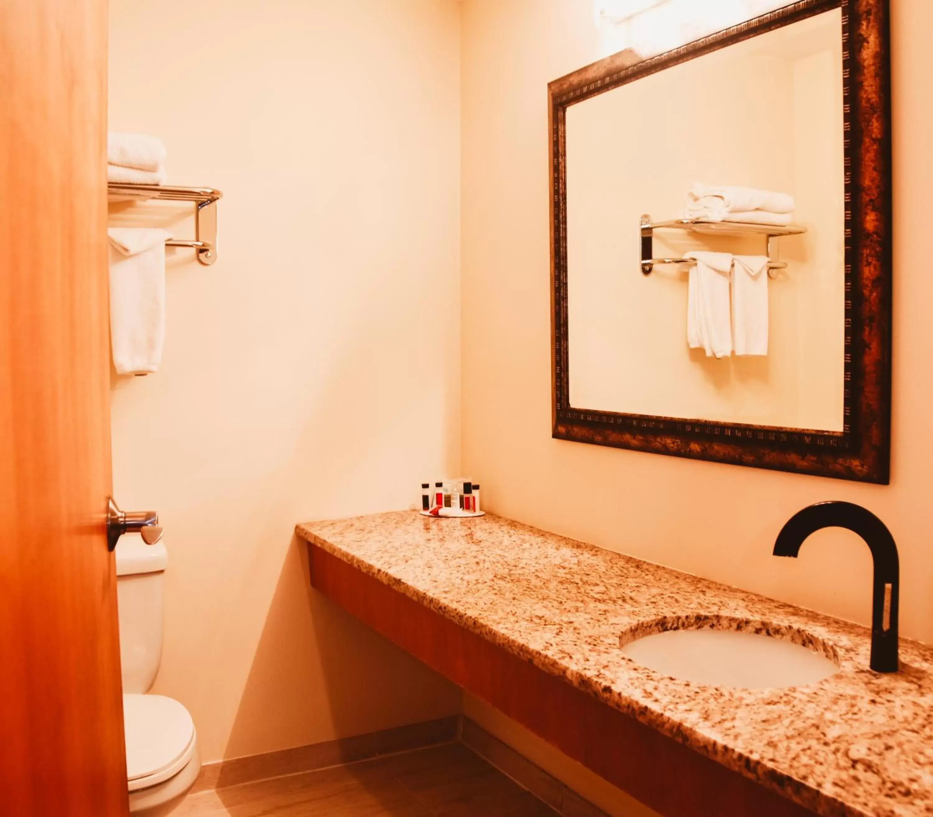 Bathroom in Stony Plain Inn & Suites