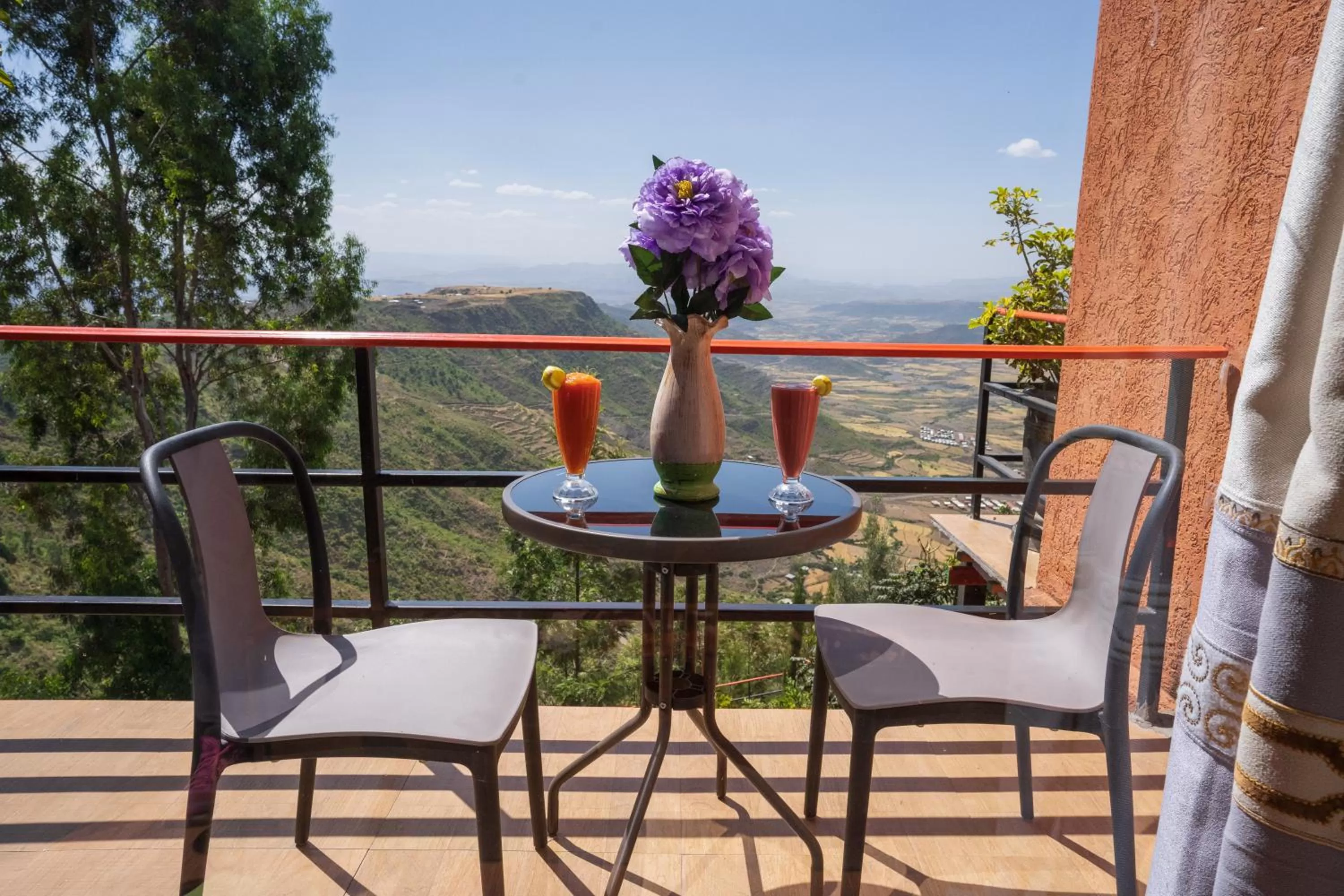 Balcony/Terrace in Panoramic View Hotel