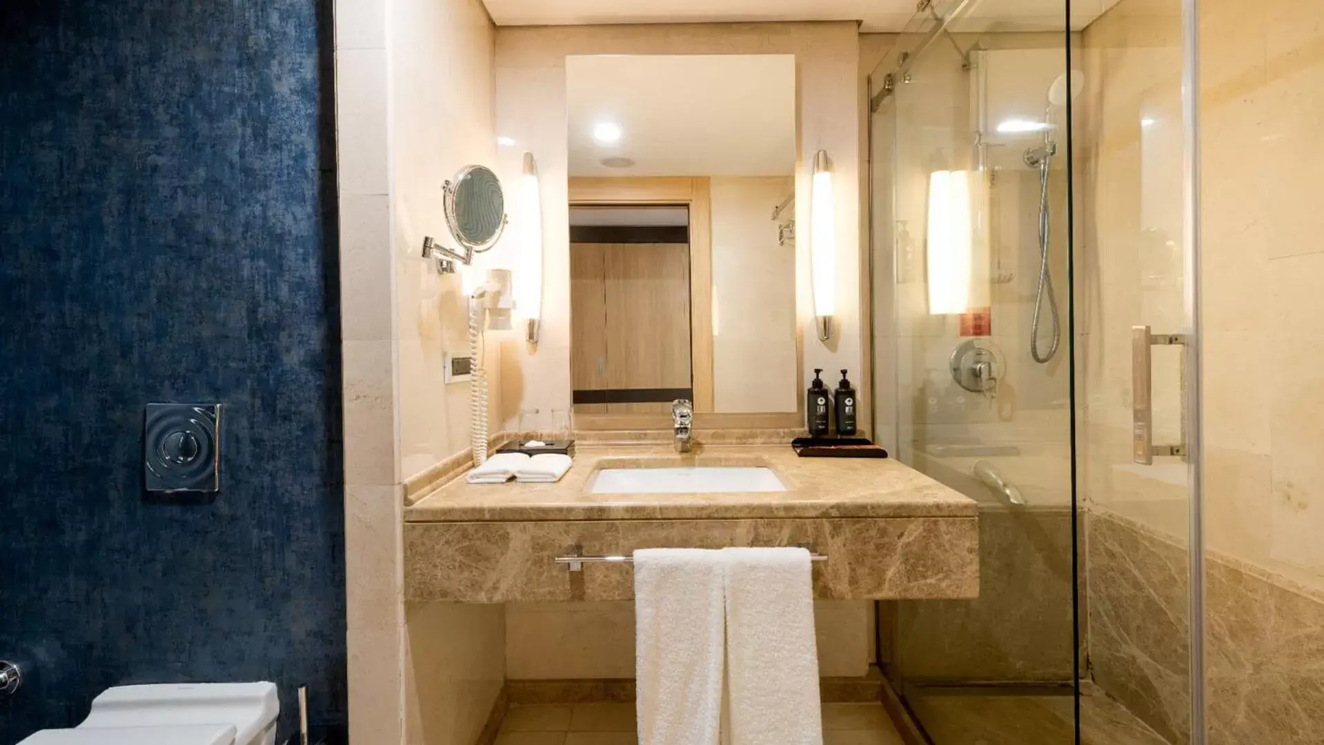 Shower, Bathroom in Ramada Plaza By Wyndham Istanbul City Center