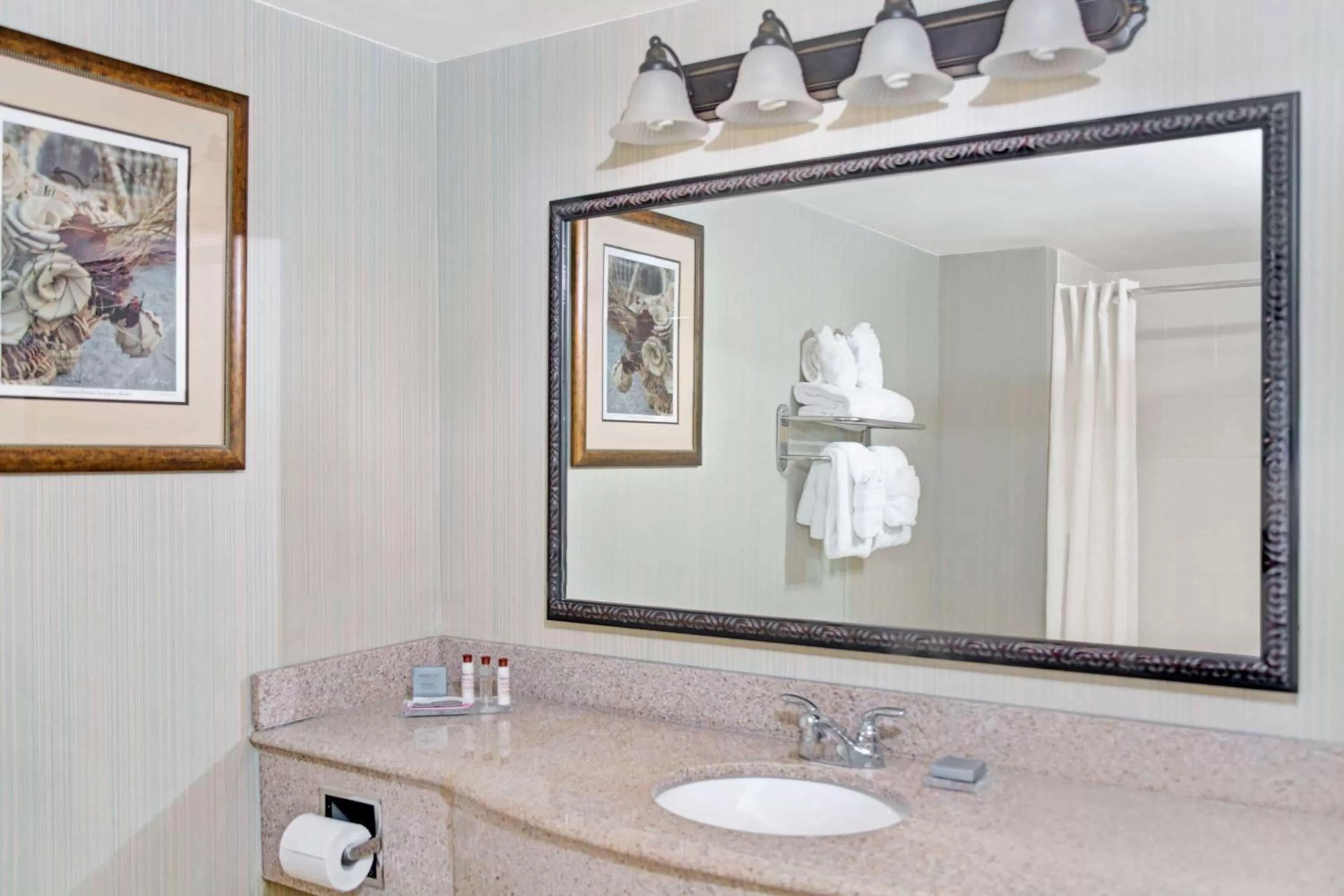 Bathroom in Wingate by Wyndham Charleston Southern University