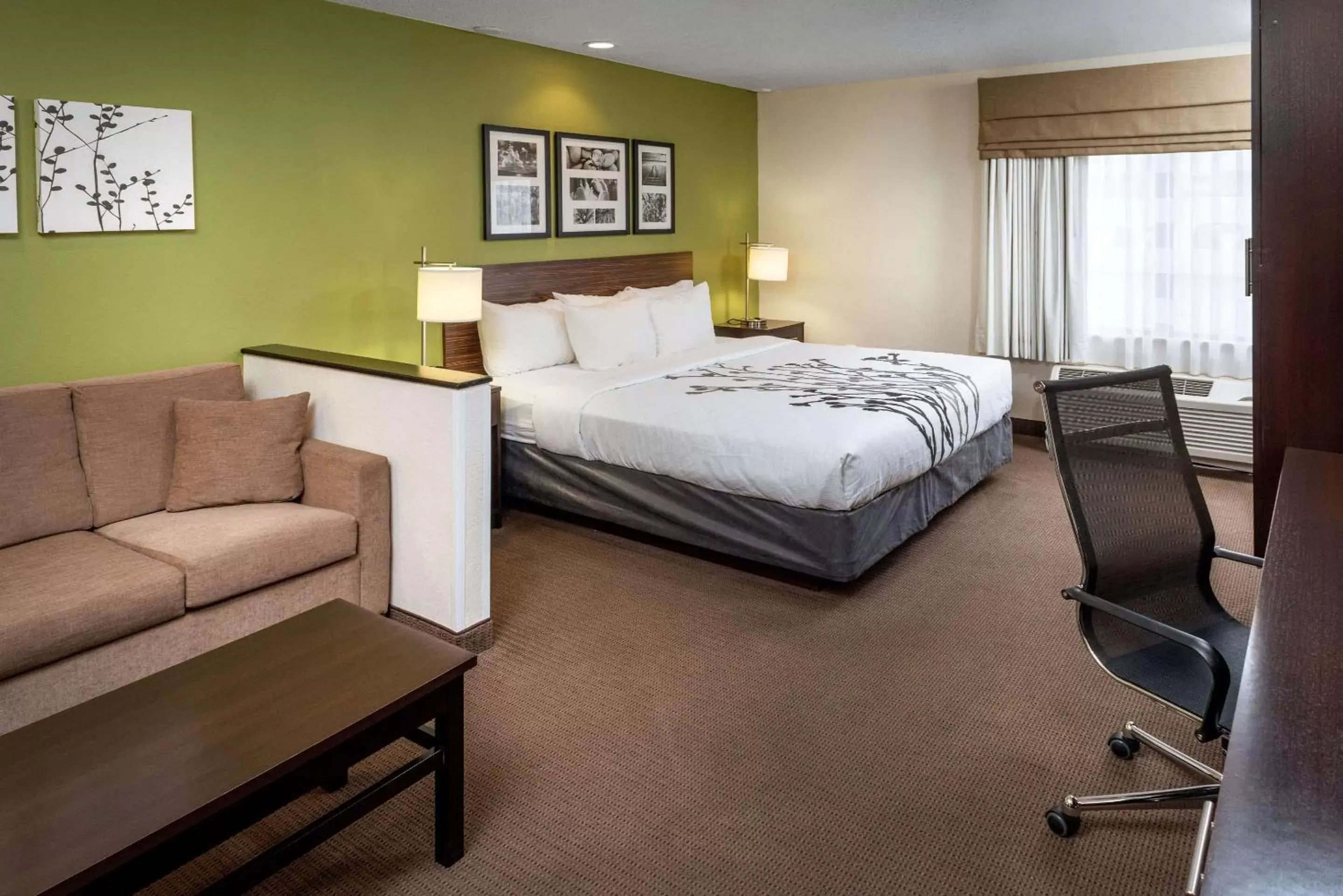 Bedroom in Sleep Inn & Suites Cross Lanes - South Charleston