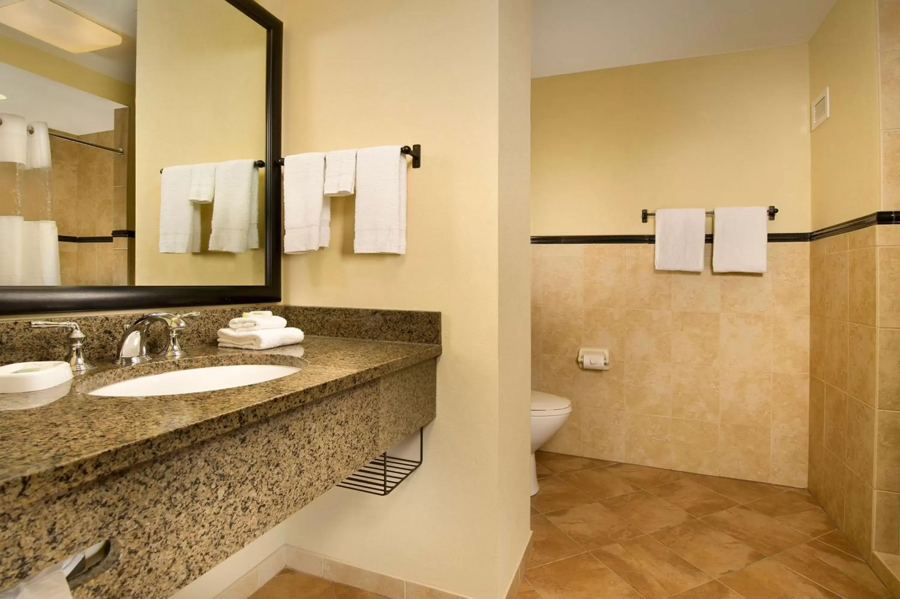Bathroom in Drury Plaza Hotel San Antonio North Stone Oak