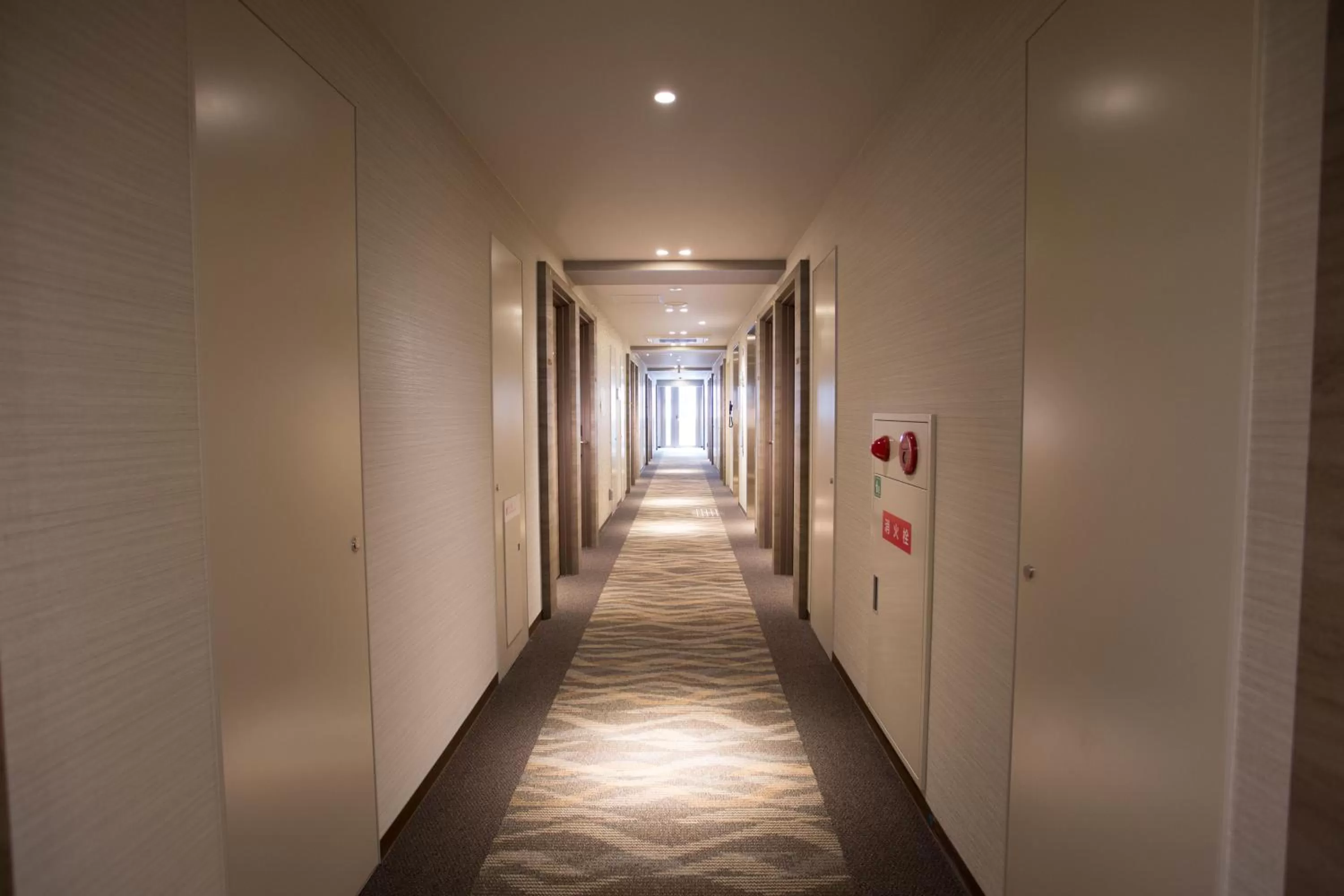 Photo of the whole room in Shinsaibashi Grand Hotel Osaka