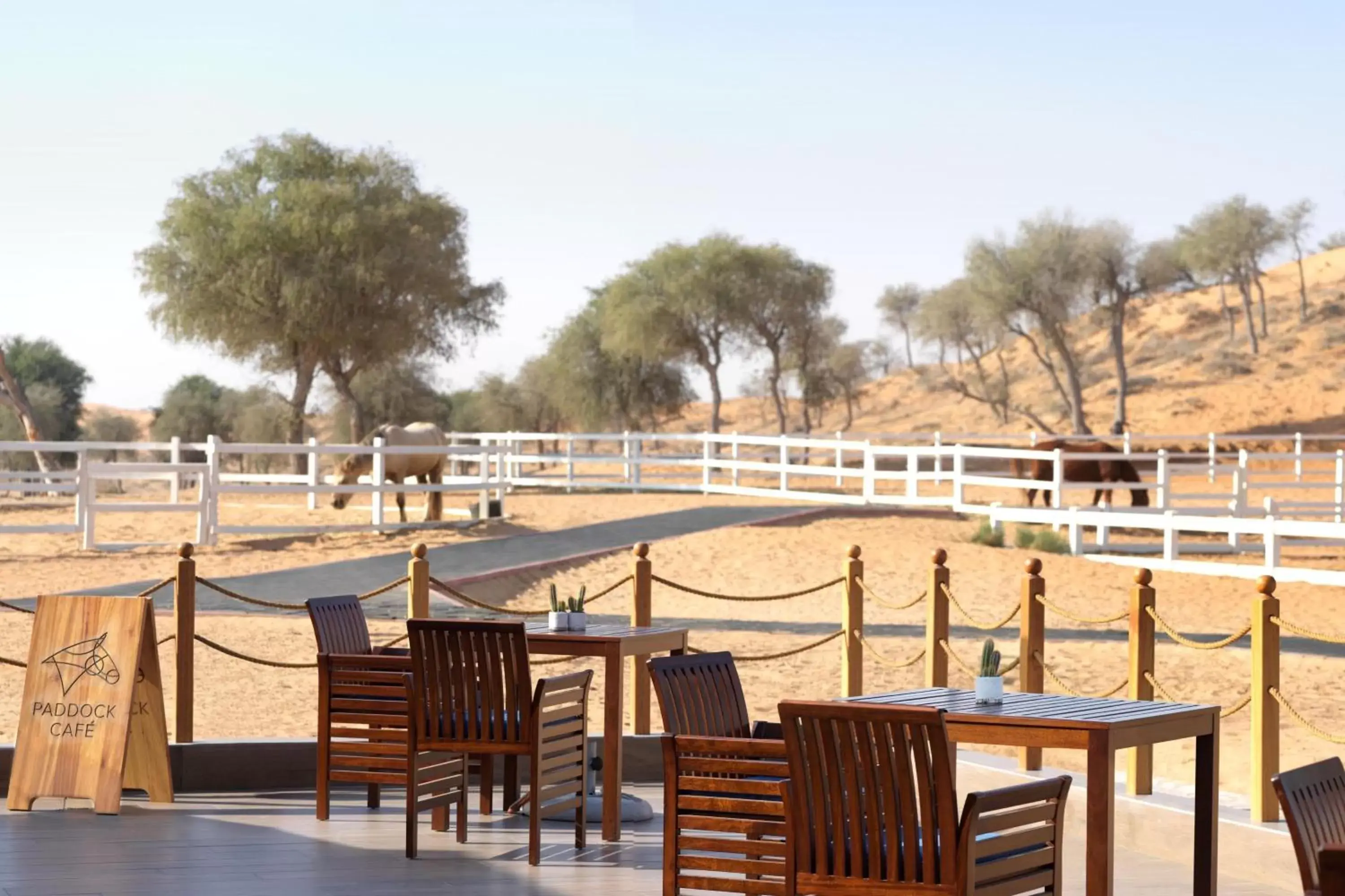 Restaurant/places to eat in The Ritz-Carlton Ras Al Khaimah, Al Wadi Desert
