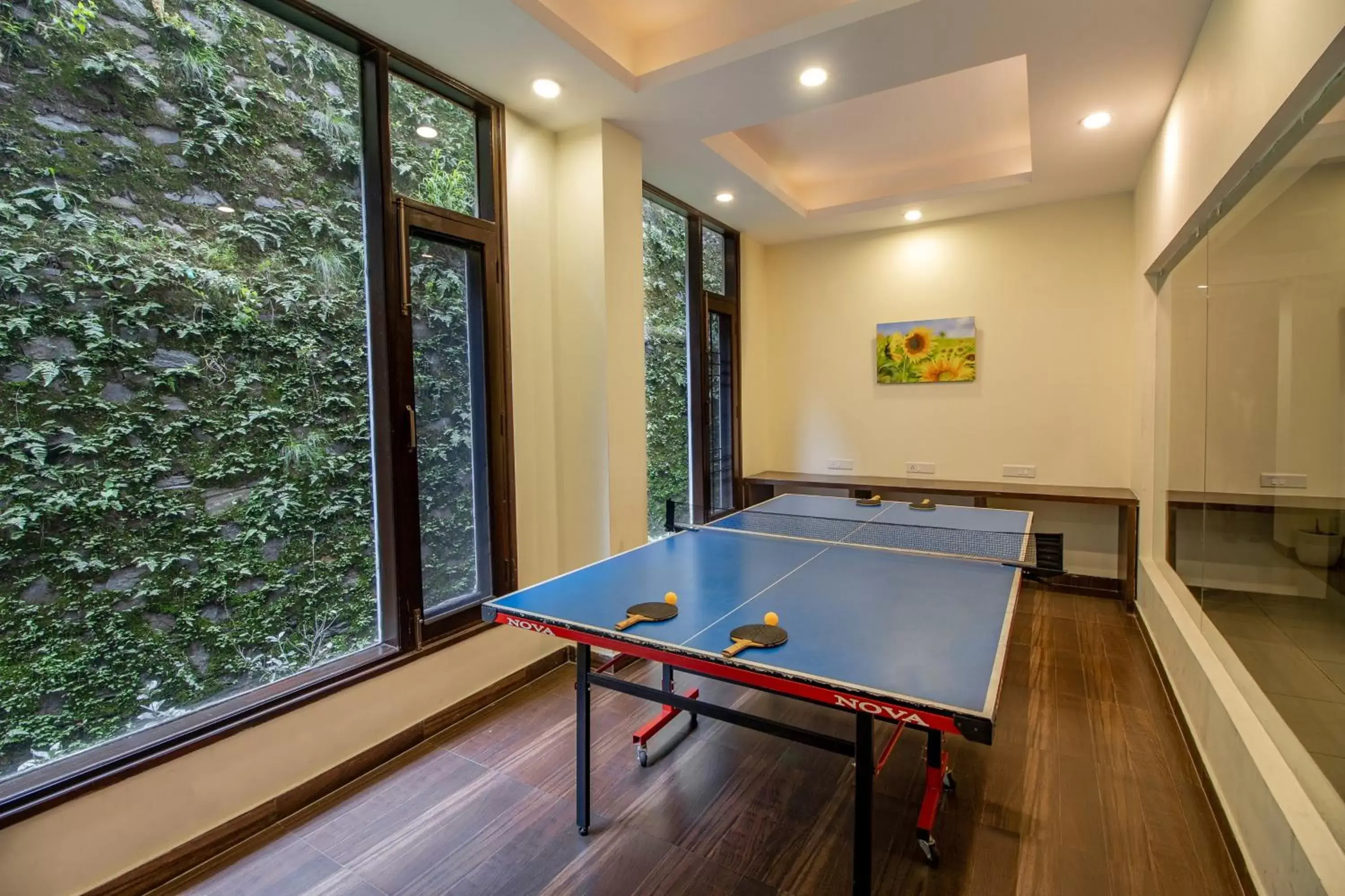 Area and facilities, Table Tennis in Snow Valley Resorts Shimla