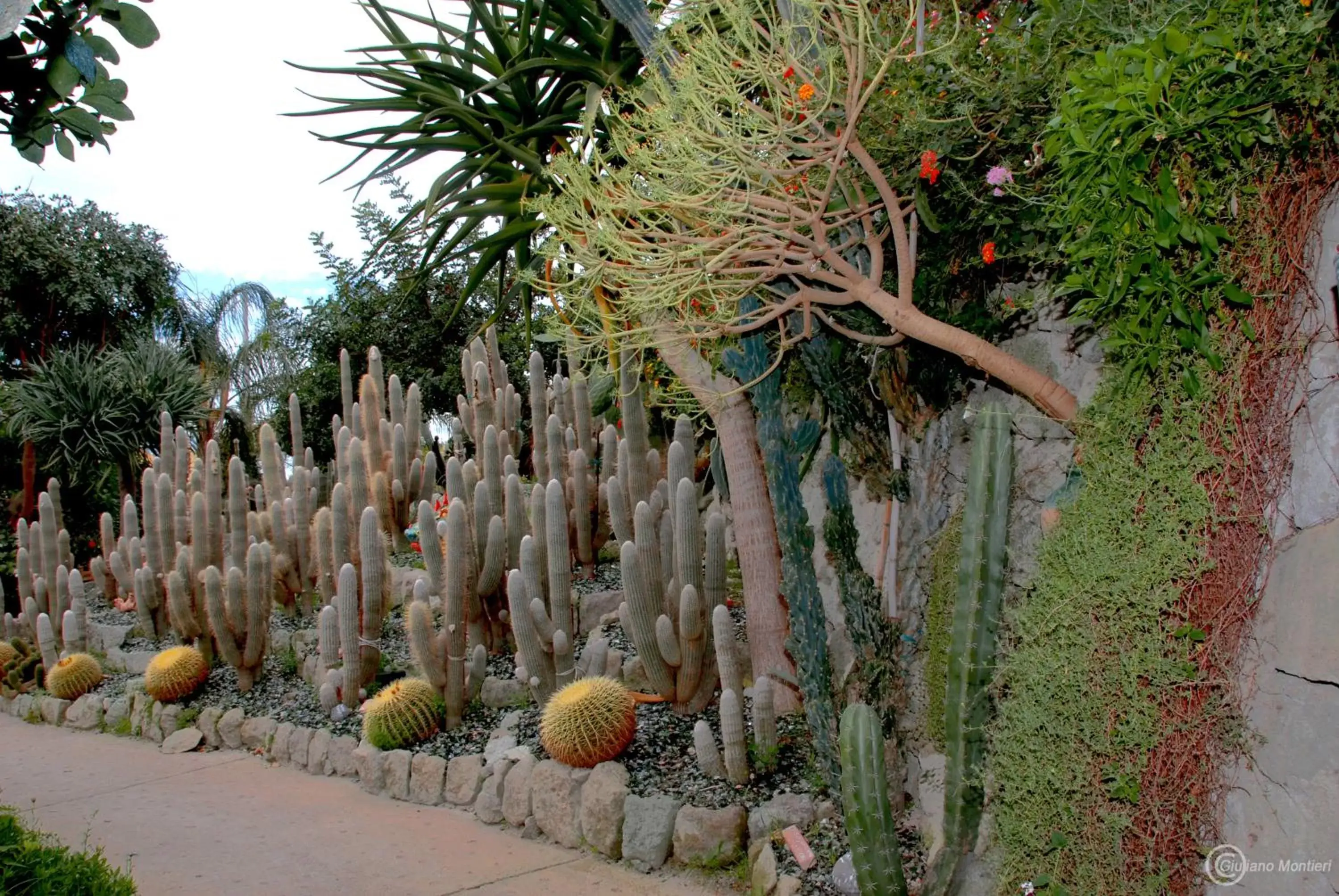 Garden in Villa Ravino Aparthotel