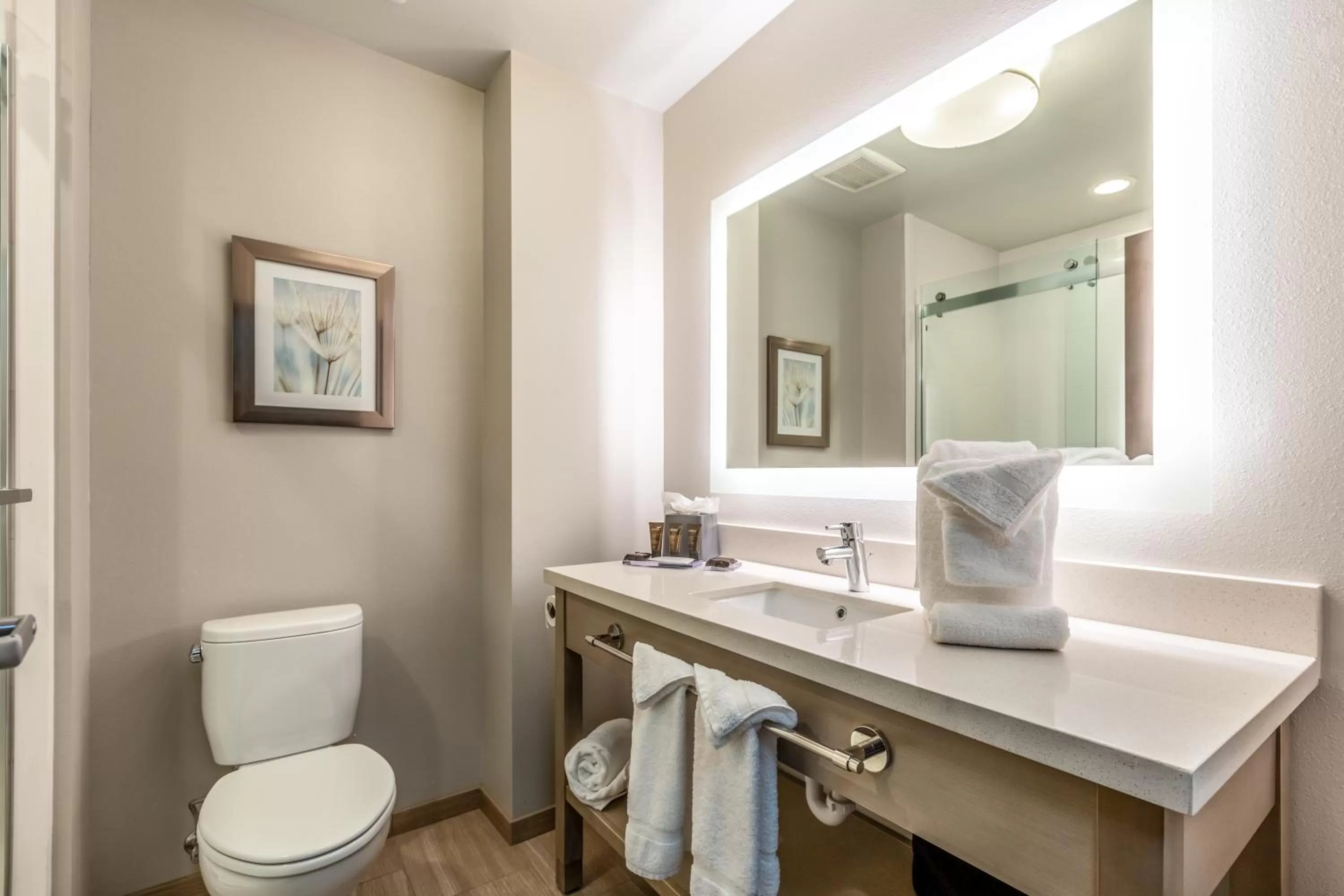 Toilet in Hawthorn Extended Stay by Wyndham Loveland