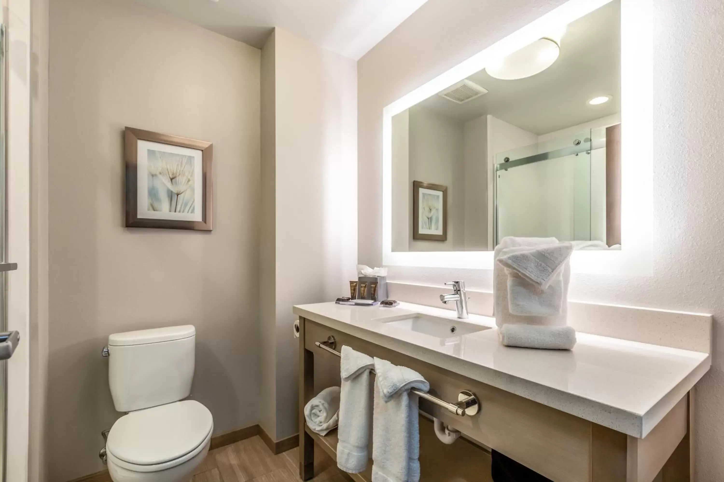 Toilet, Bathroom in Hawthorn Suites by Wyndham Loveland