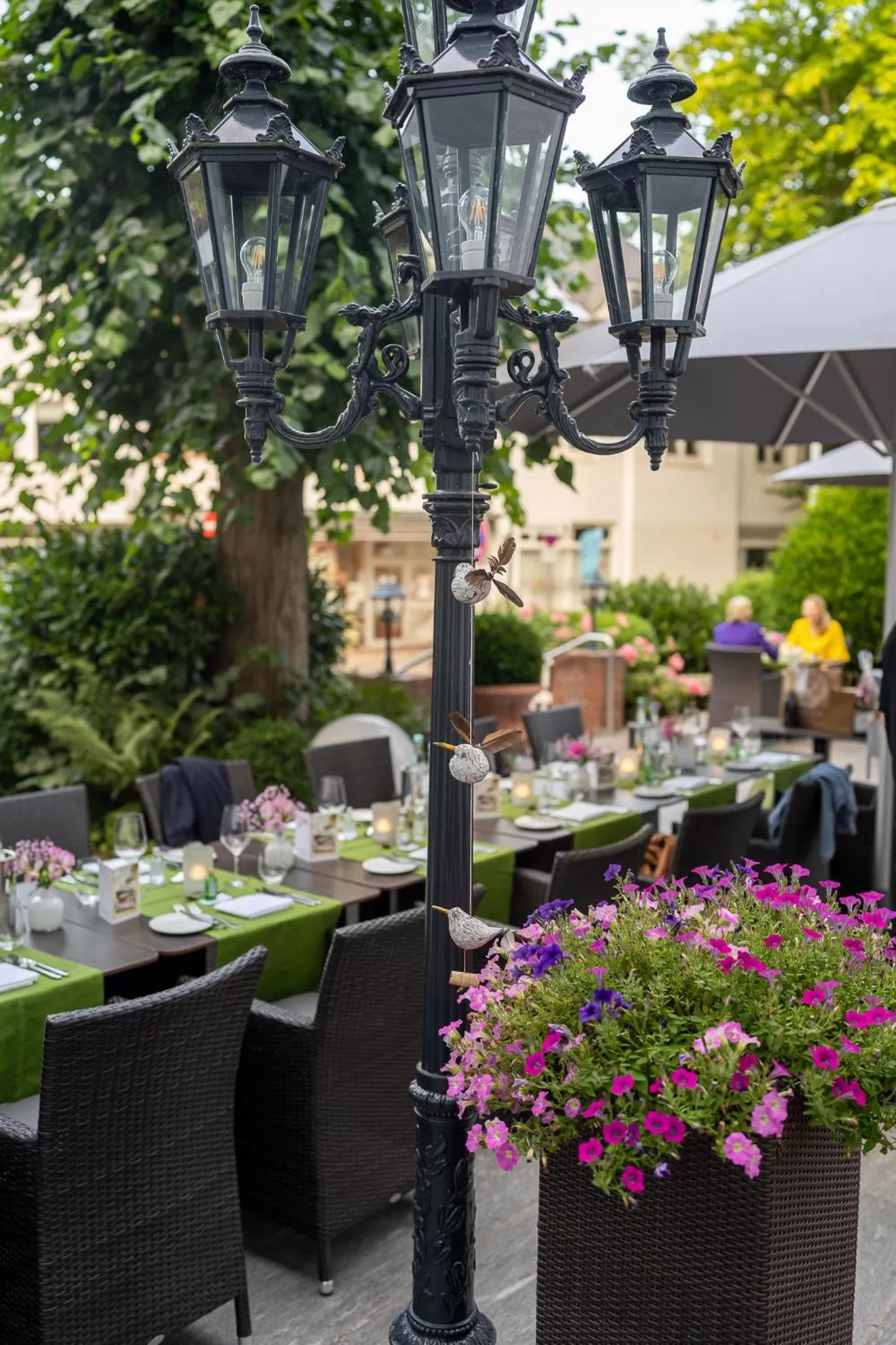 Restaurant/places to eat in Hotel Cap Polonio