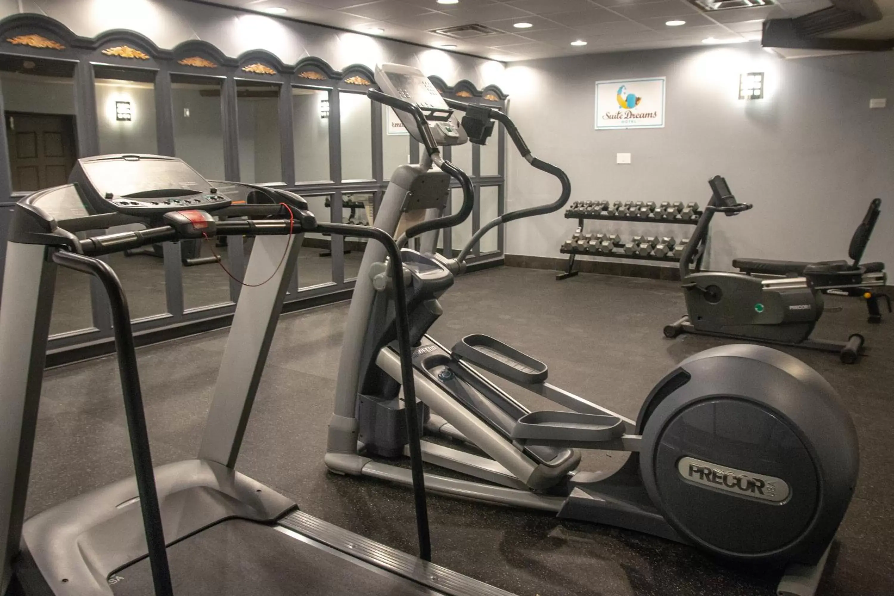 Fitness Center/Facilities in Suite Dreams Hotel
