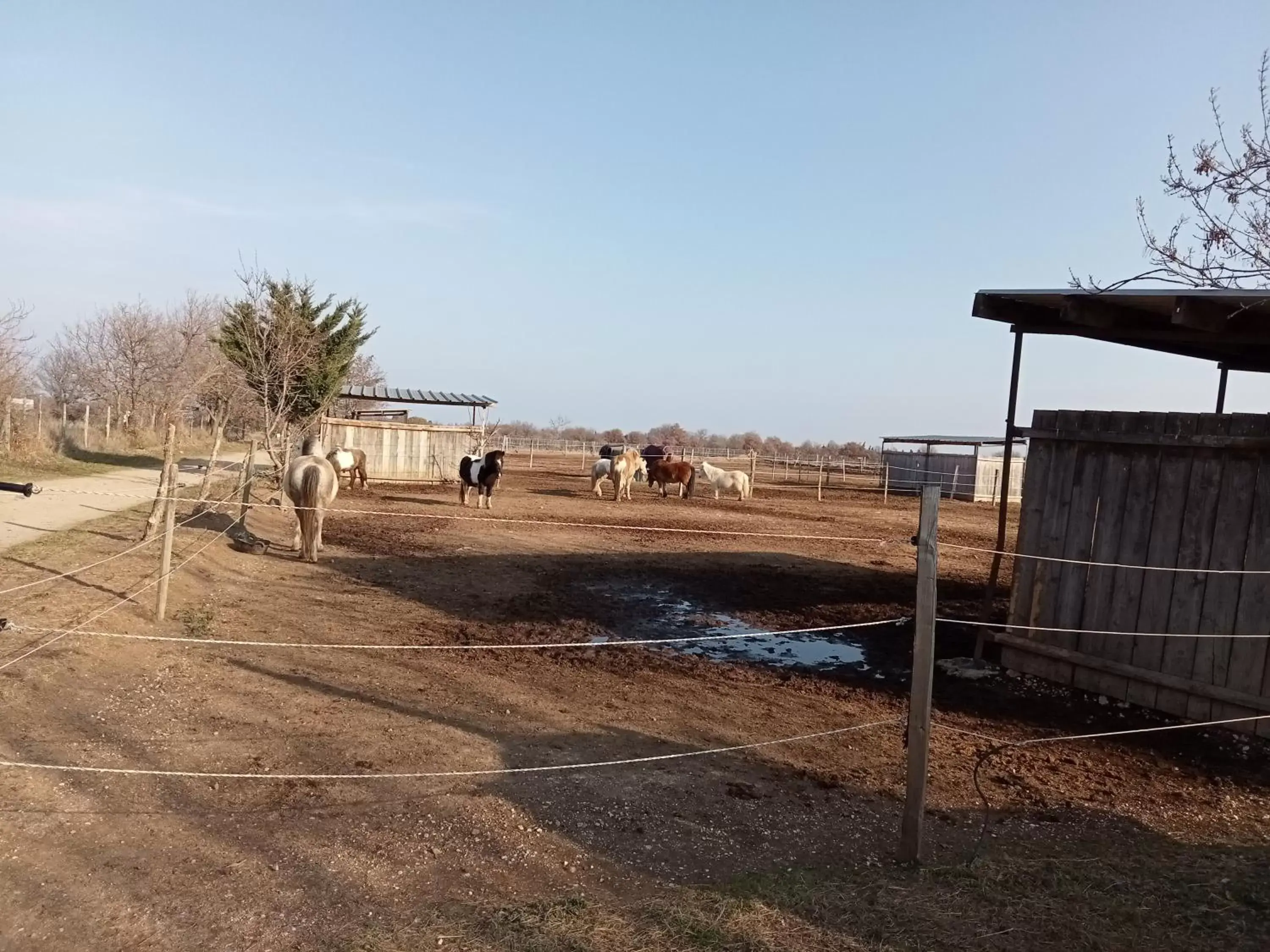 Horse-riding in Mas Palegry côté terrasse