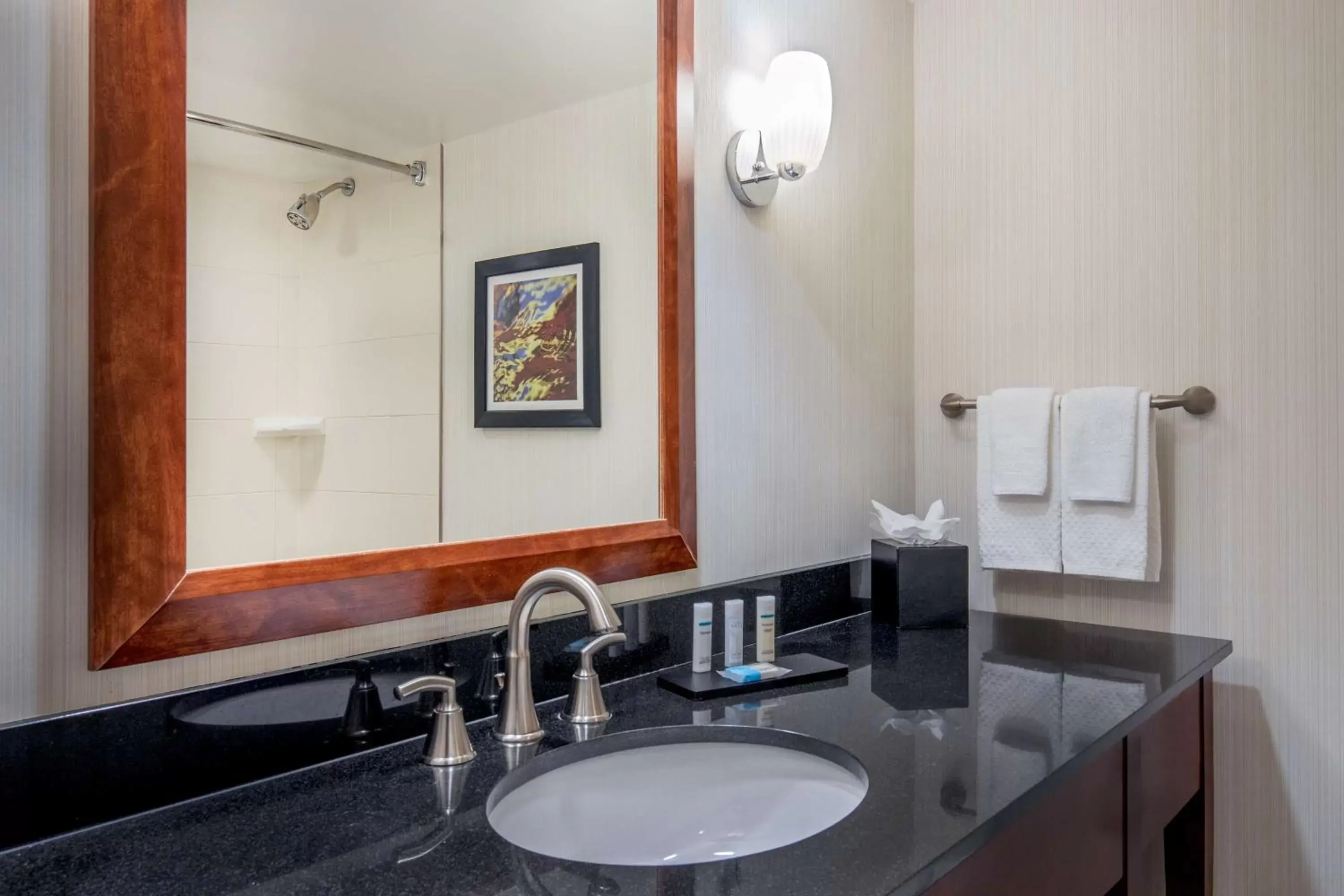 Bathroom in Embassy Suites by Hilton Boston Waltham